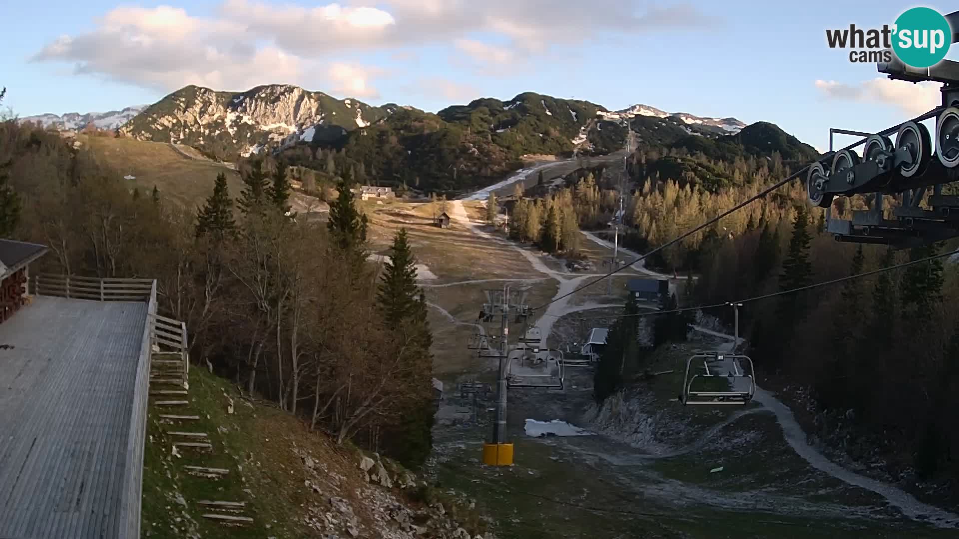 Vogel webcam kamera – Brunarica – Slowenien