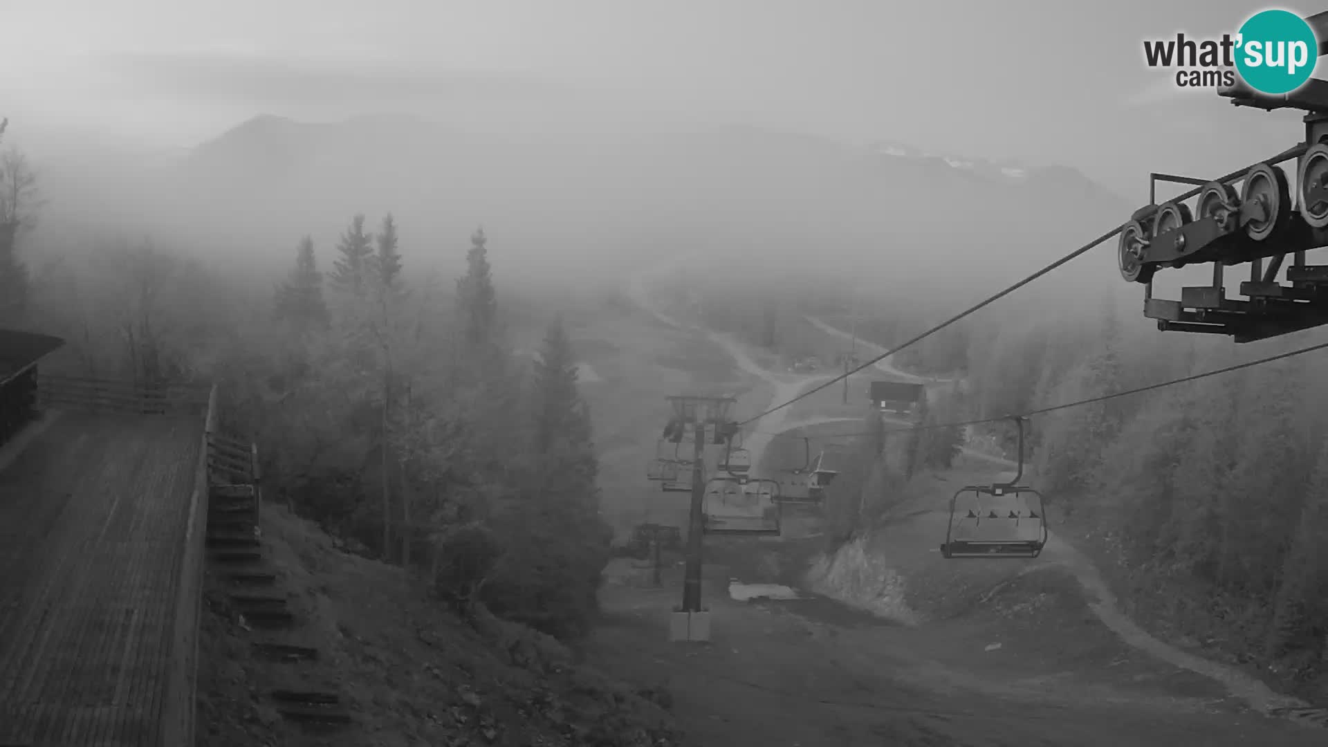 Vogel webcam kamera – Brunarica – Slowenien