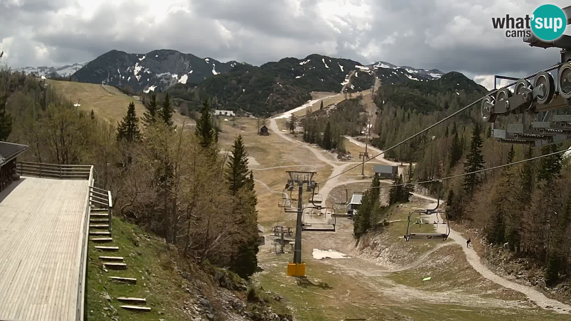 Vogel web kamera – Brunarica – Slovenija