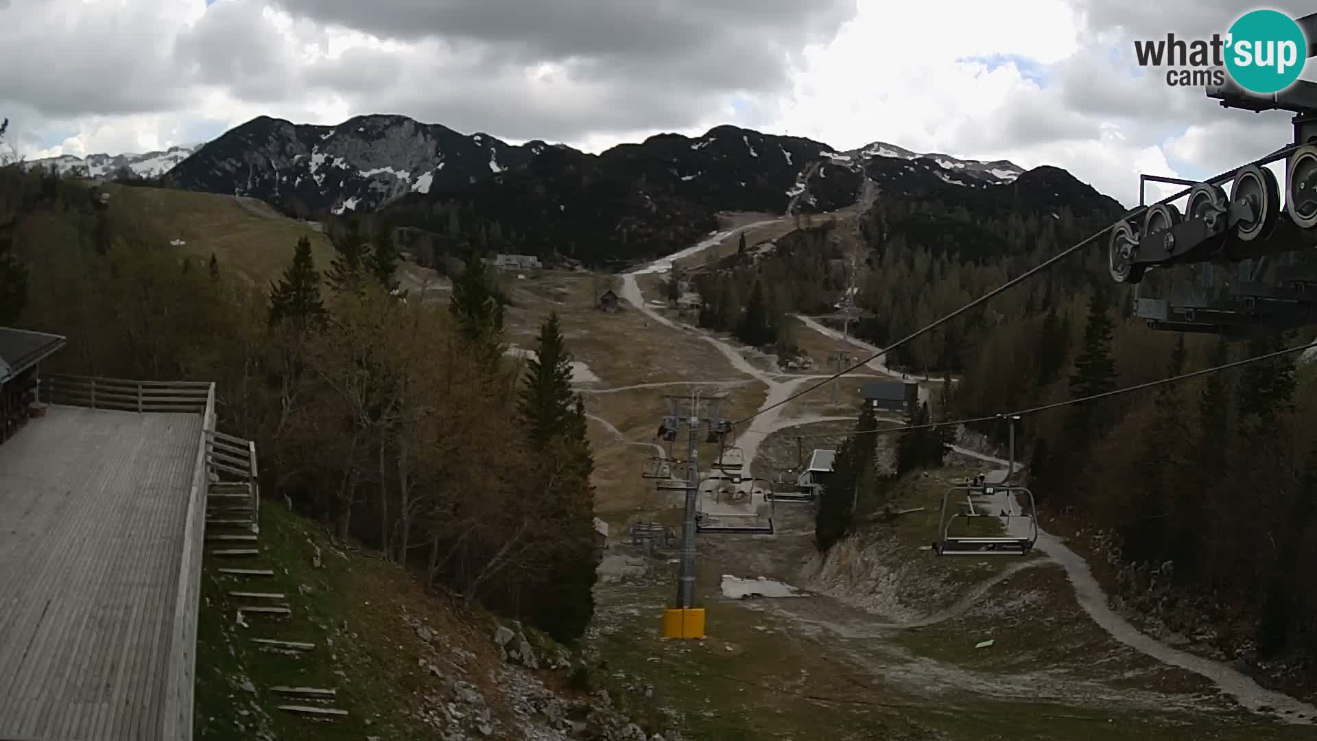 Vogel webcam kamera – Brunarica – Slowenien