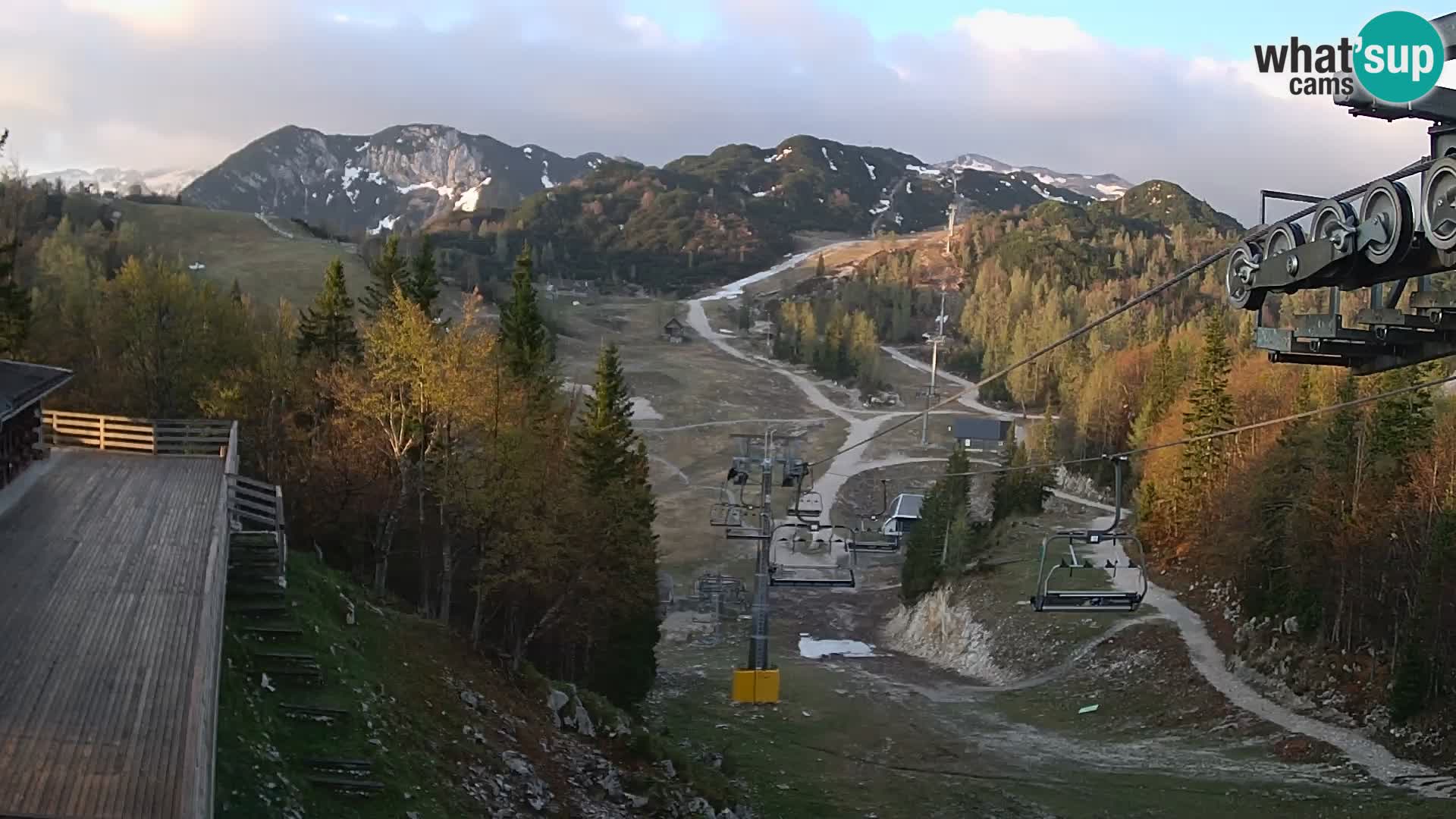 Vogel web kamera – Brunarica – Slovenija