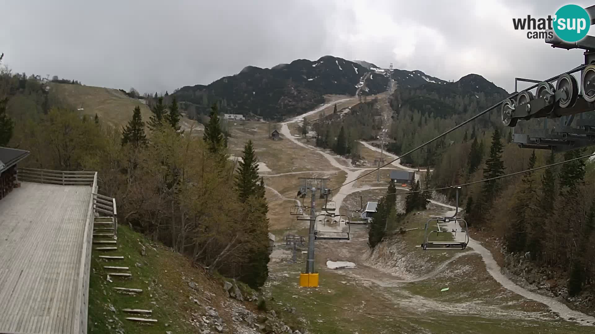 Vogel webcam kamera – Brunarica – Slowenien
