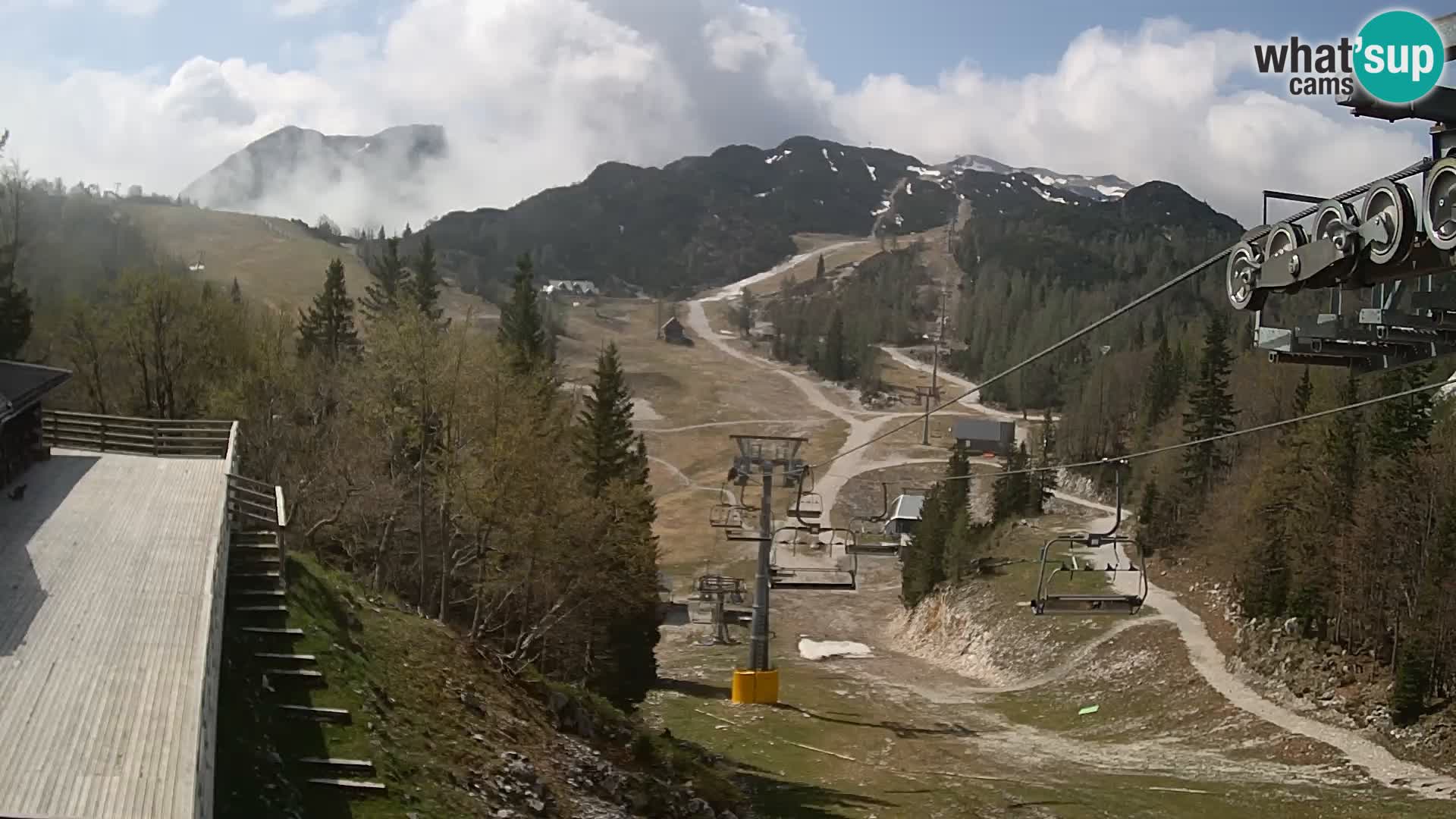 Vogel web kamera – Brunarica – Slovenija