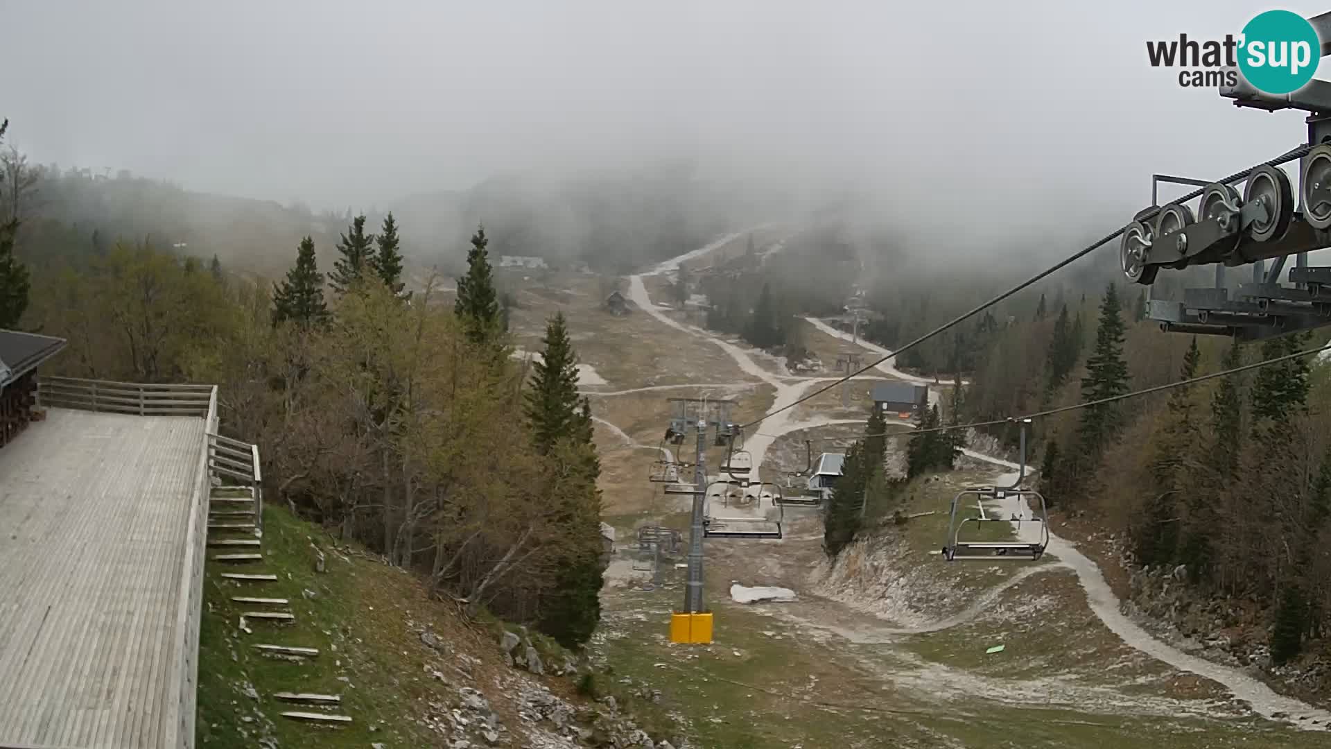 Vogel webcam kamera – Brunarica – Slowenien