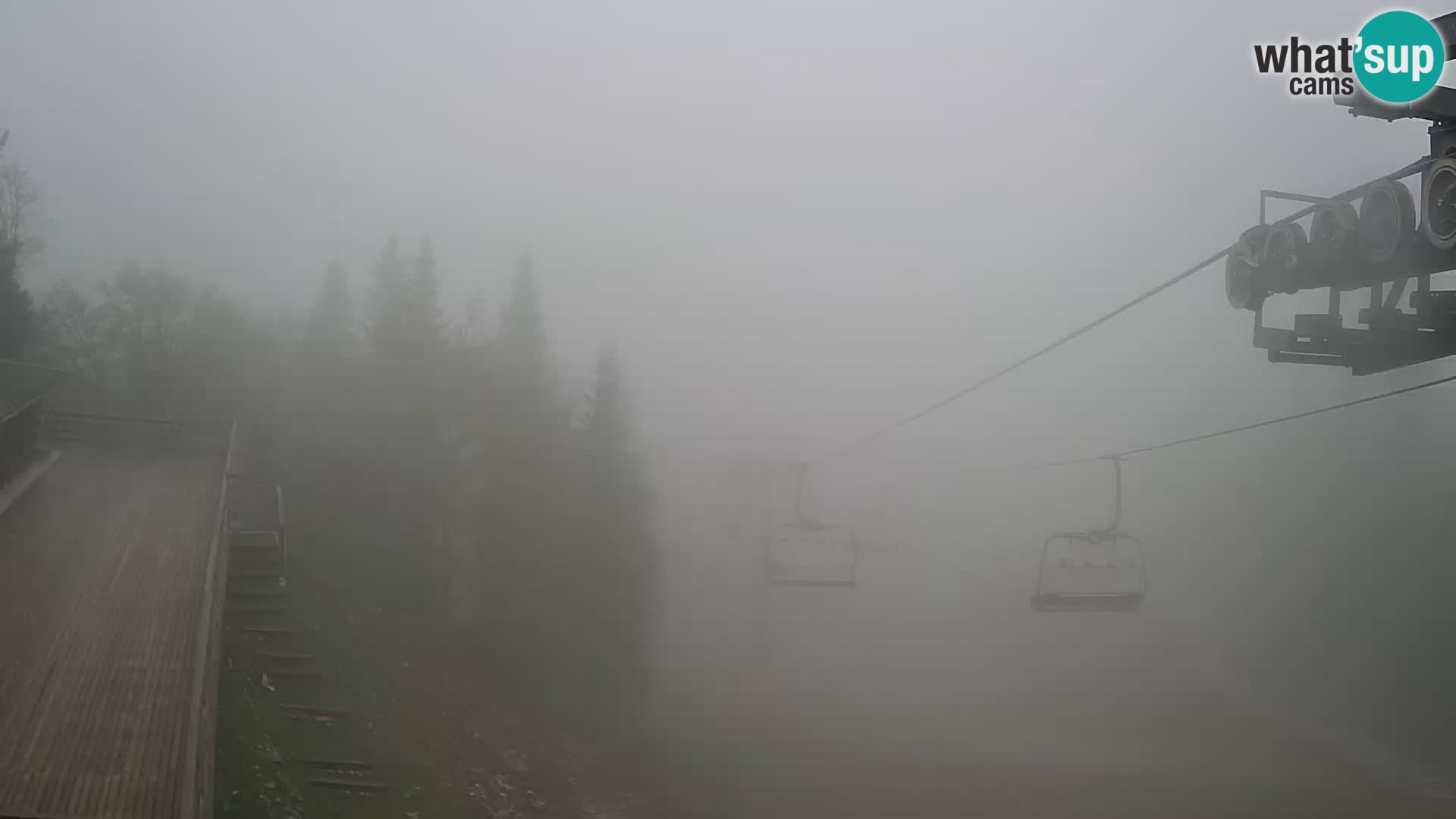 Vogel web kamera – Brunarica – Slovenija