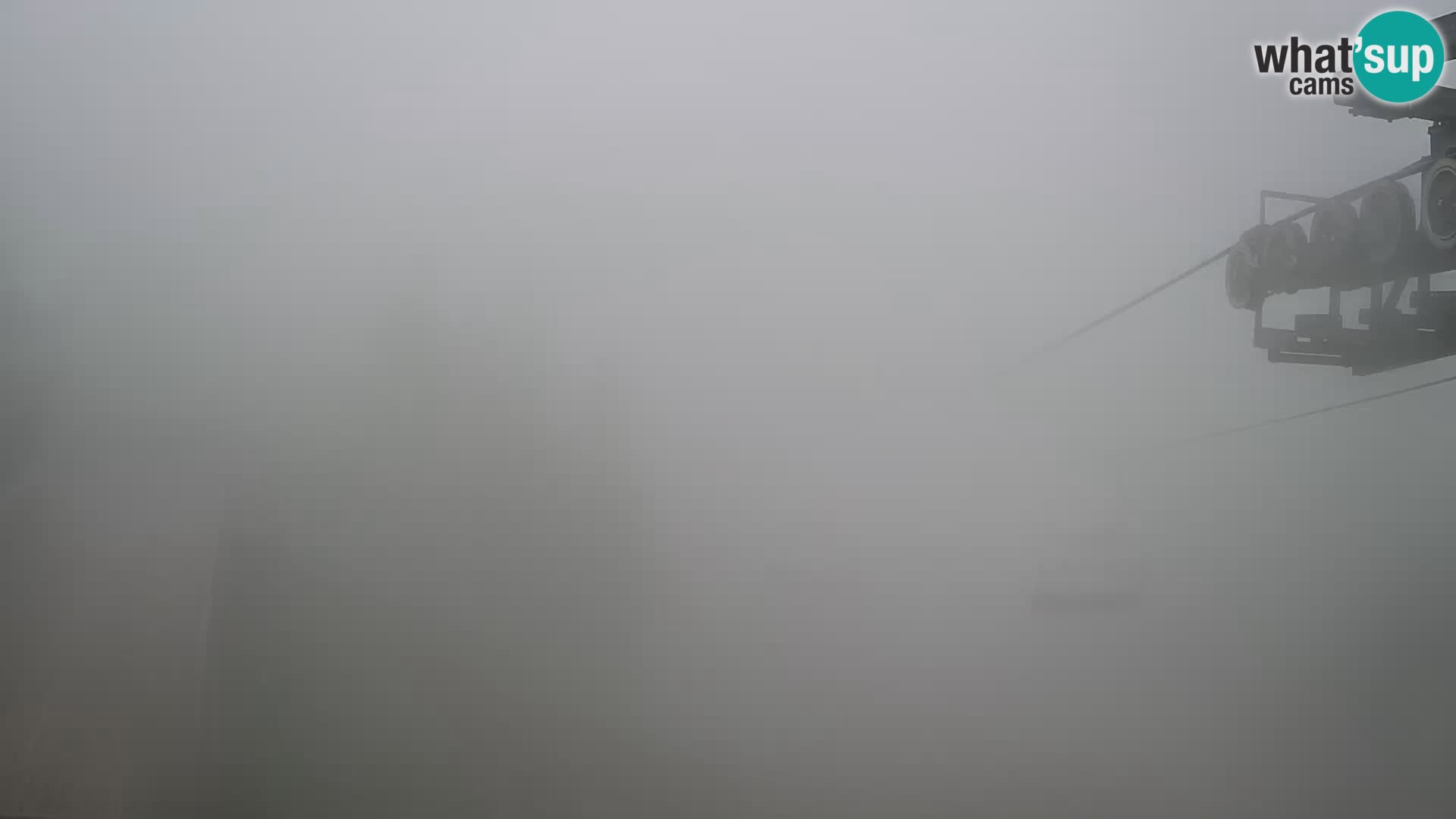 Vogel web kamera – Brunarica – Slovenija