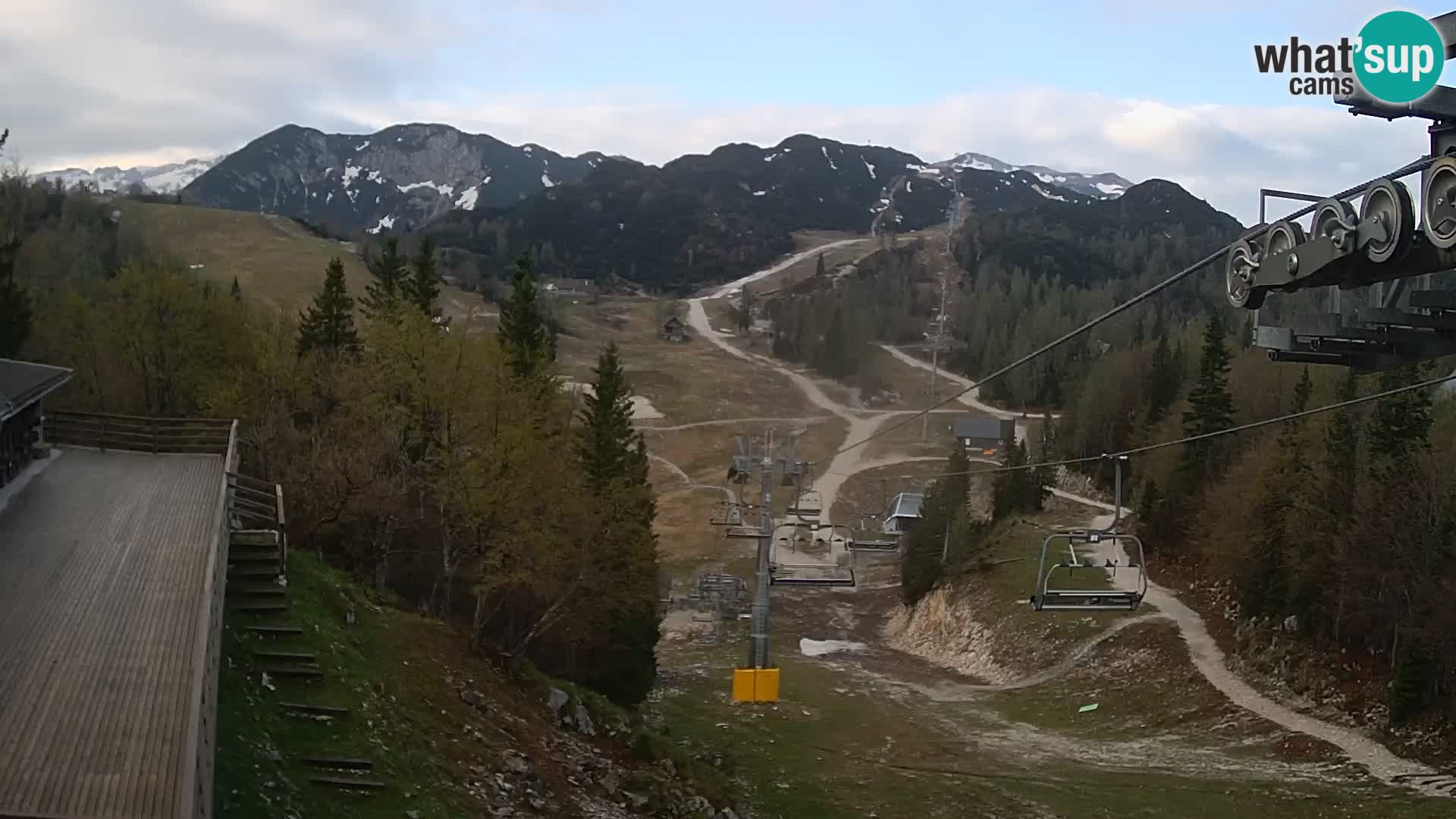 Vogel webcam kamera – Brunarica – Slowenien