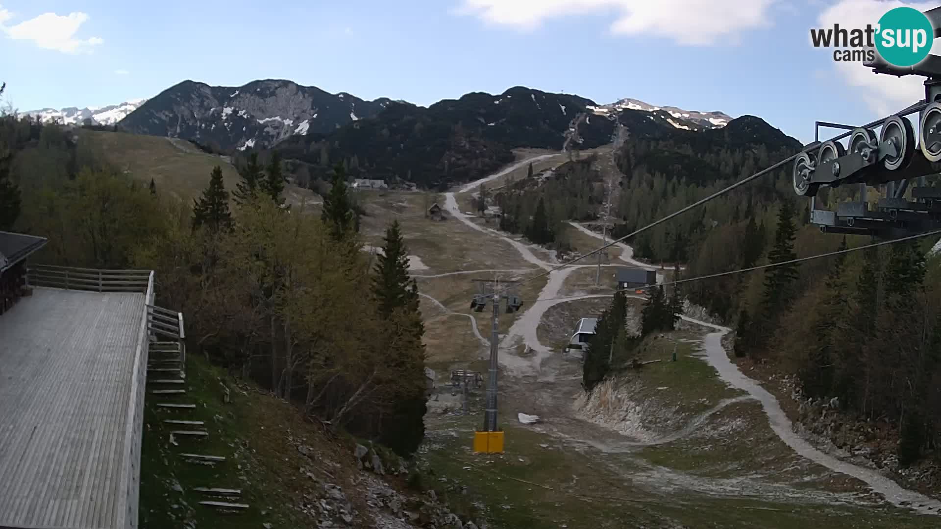 Vogel web kamera – Brunarica – Slovenija
