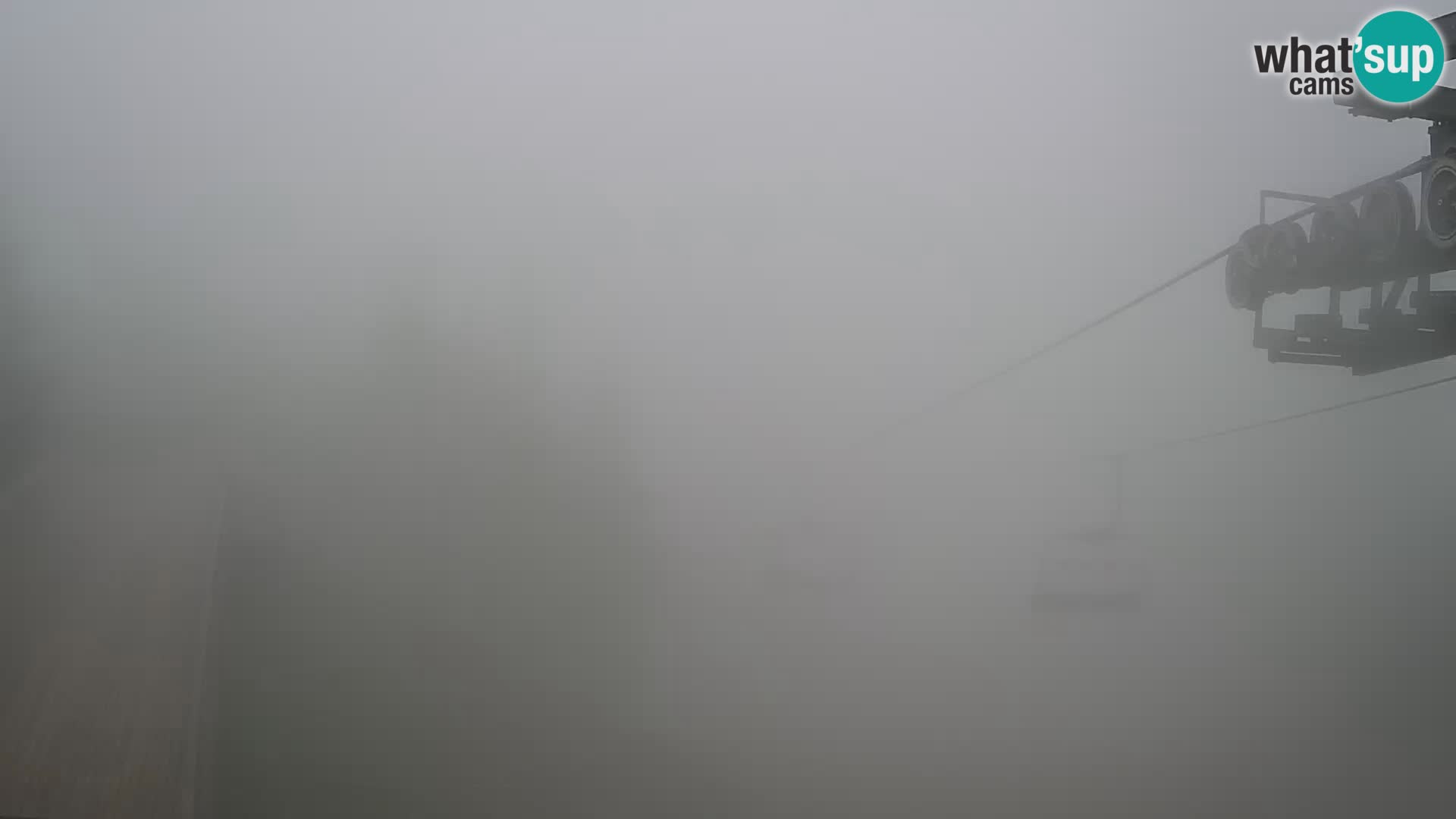 Vogel web kamera – Brunarica – Slovenija