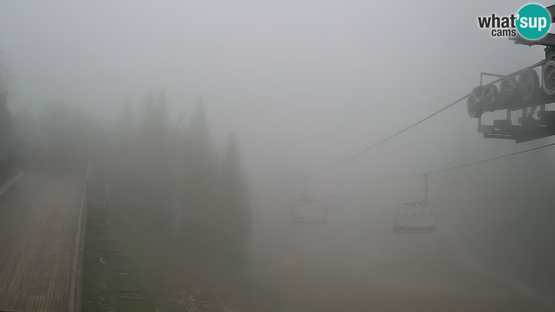 Vogel webcam kamera – Brunarica – Slowenien