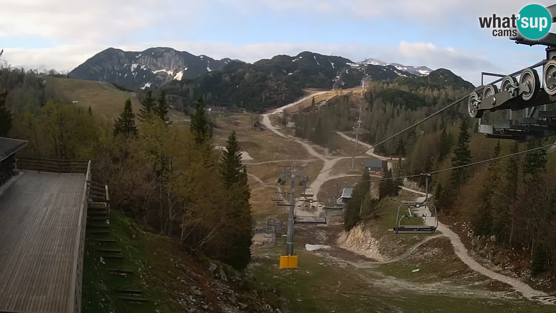 Vogel webcam kamera – Brunarica – Slowenien