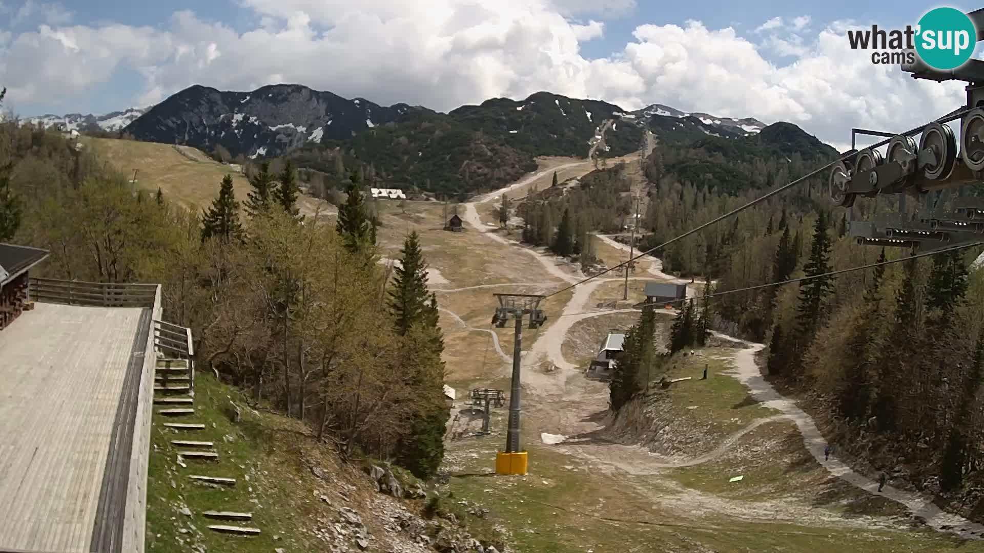 Vogel web kamera – Brunarica – Slovenija