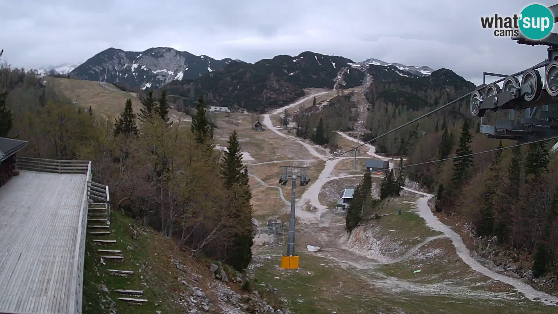 Vogel webcam kamera – Brunarica – Slowenien
