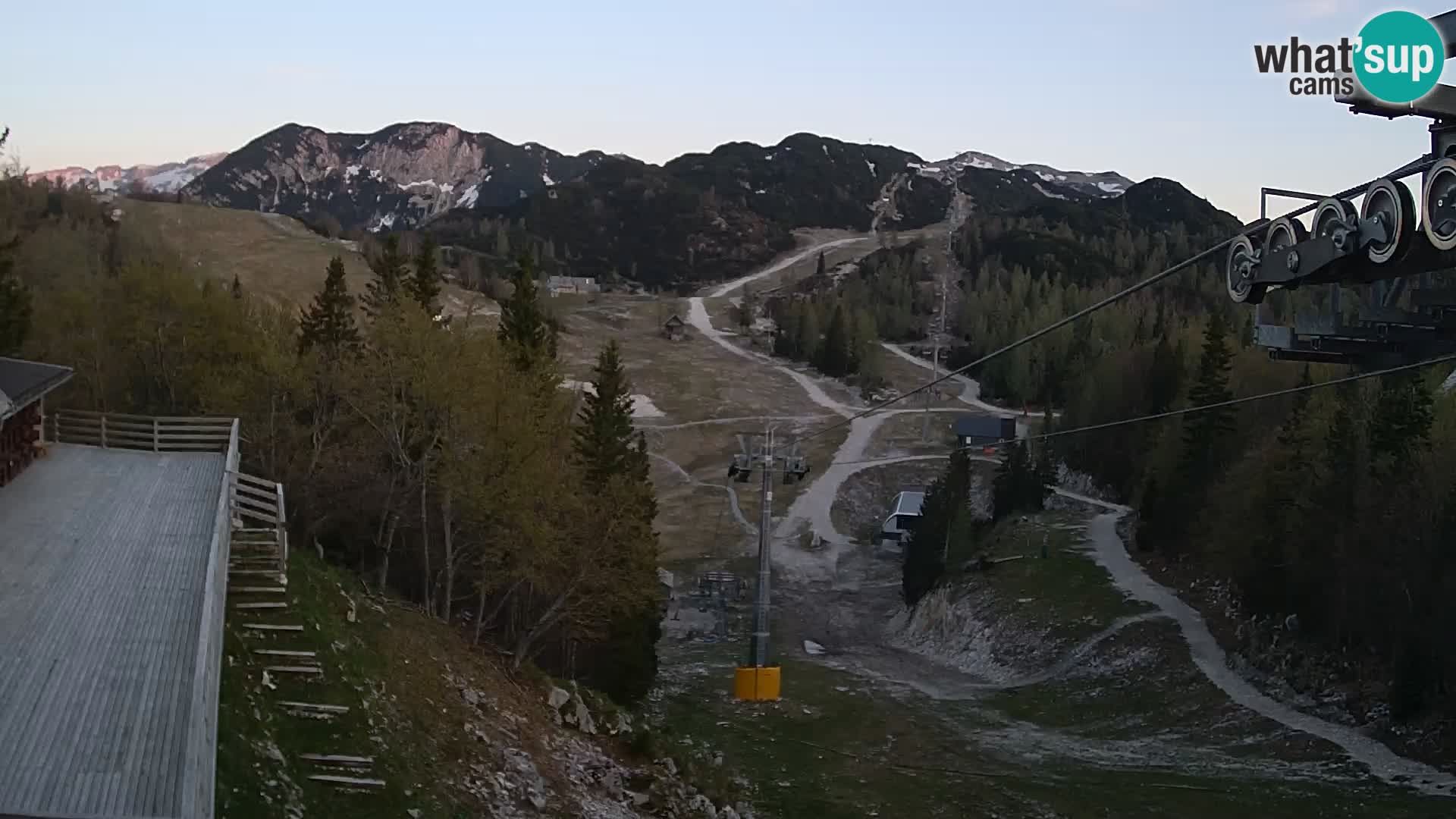 Vogel webcam kamera – Brunarica – Slowenien