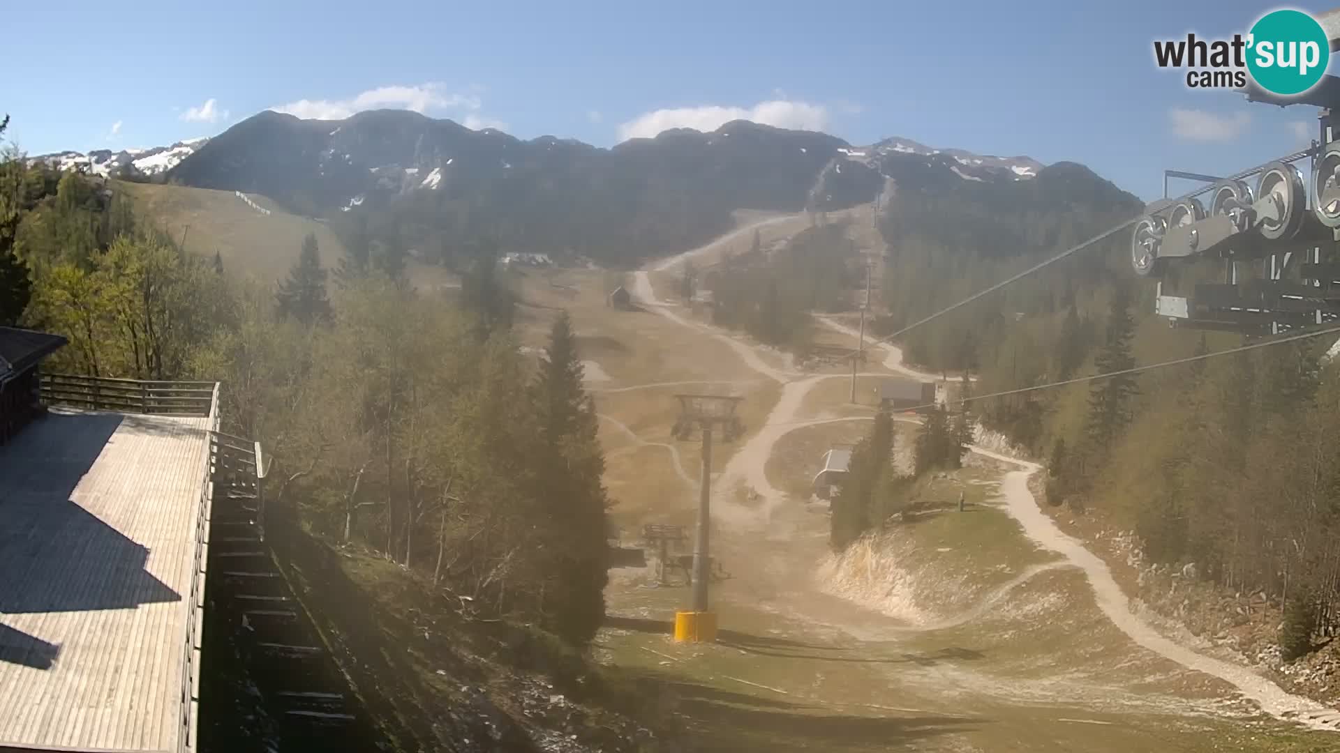 Vogel web kamera – Brunarica – Slovenija