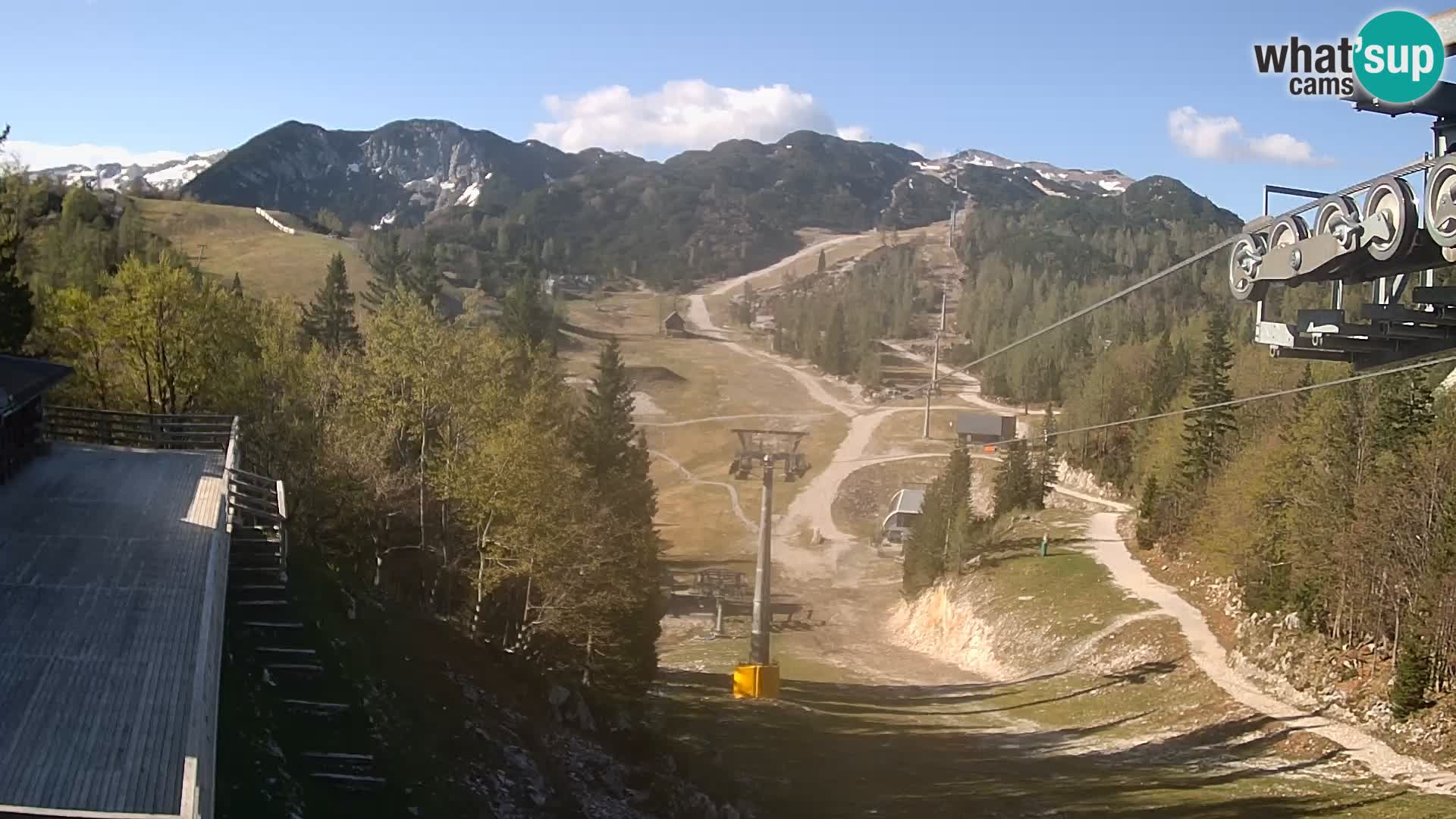 Vogel web kamera – Brunarica – Slovenija