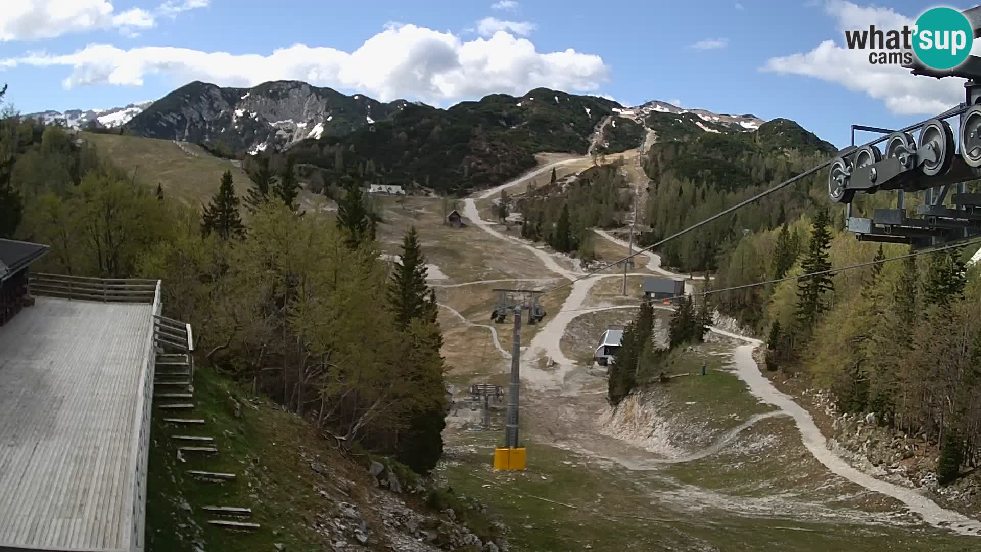 Vogel web kamera – Brunarica – Slovenija