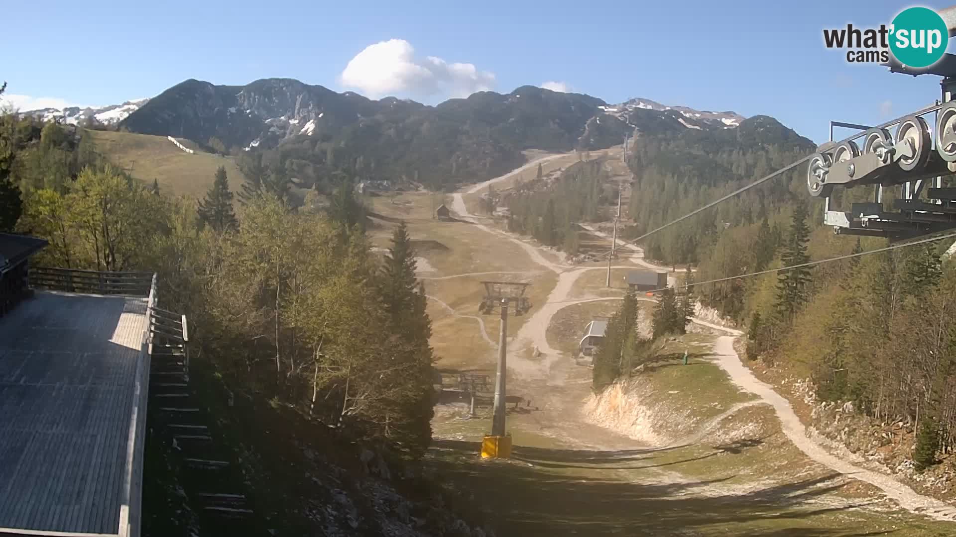 Vogel web kamera – Brunarica – Slovenija