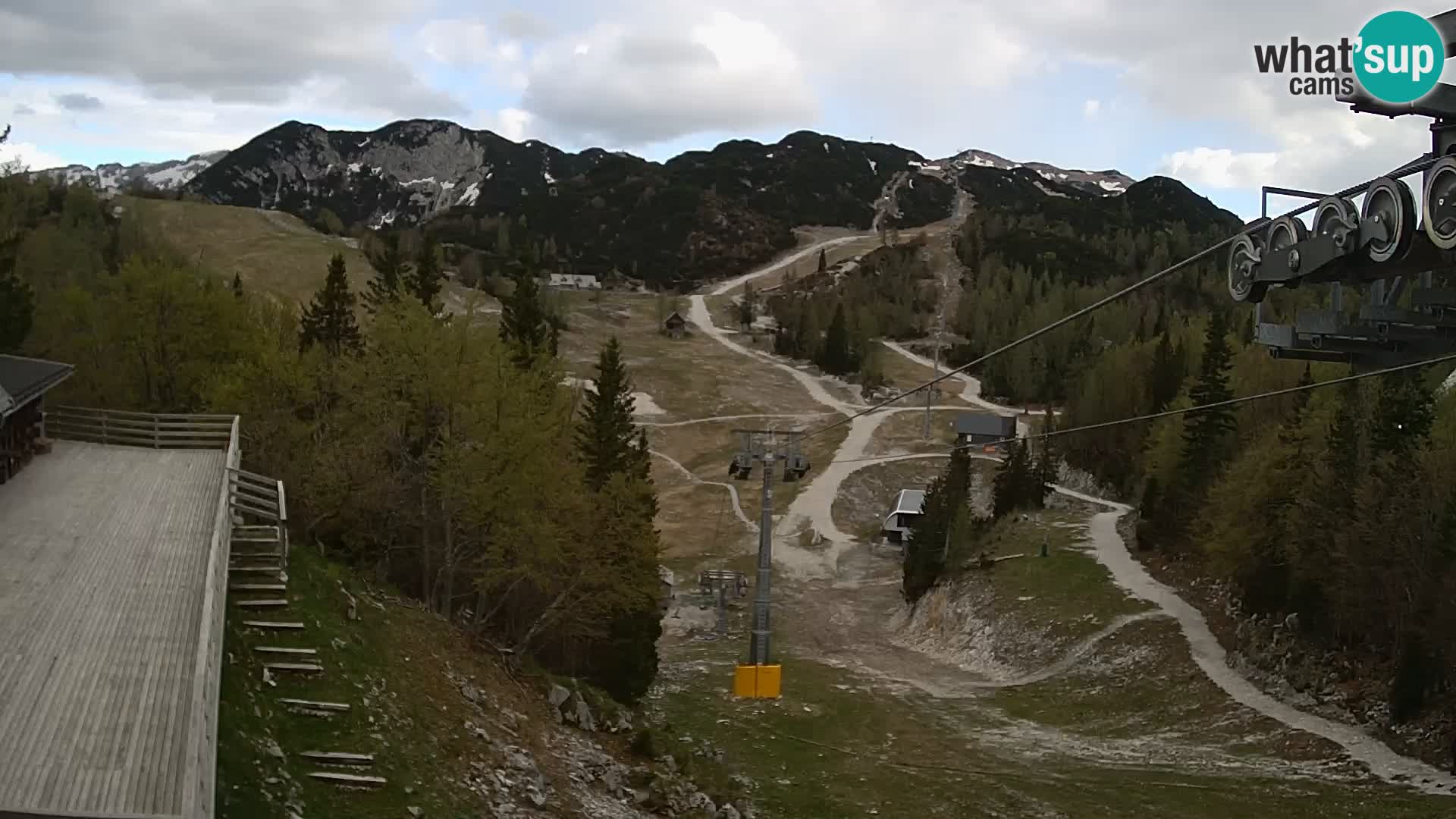 Vogel web kamera – Brunarica – Slovenija