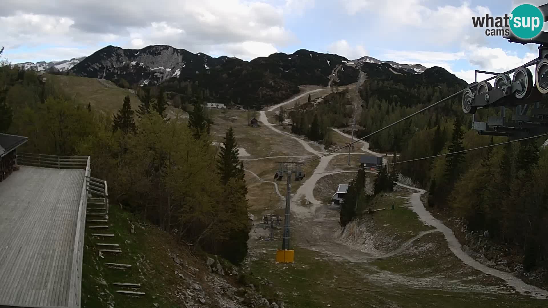 Vogel web kamera – Brunarica – Slovenija
