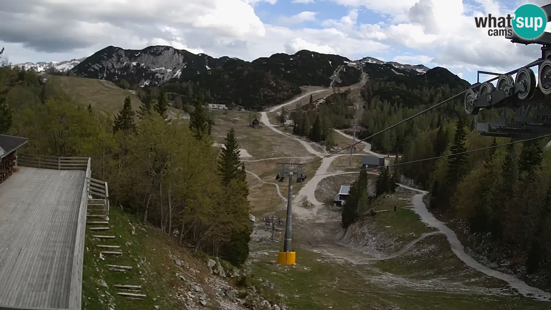Vogel web kamera – Brunarica – Slovenija