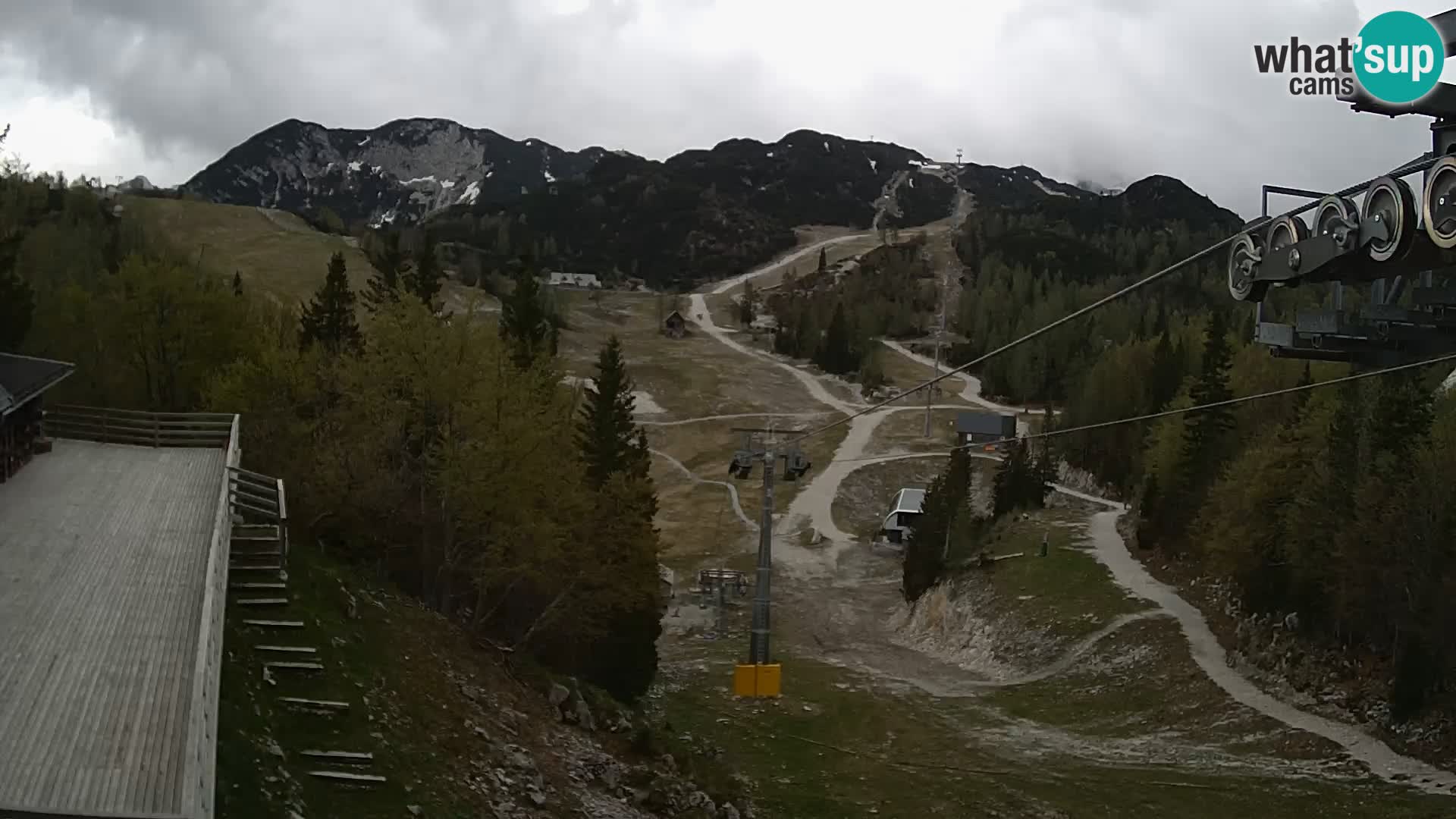 Vogel web kamera – Brunarica – Slovenija