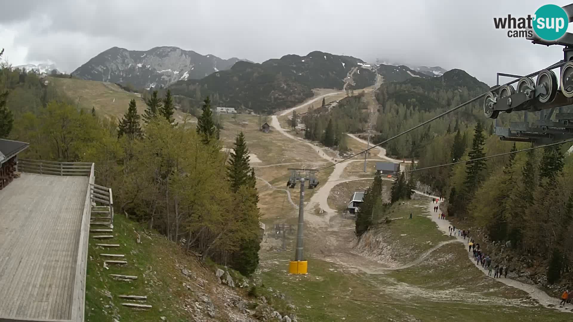 Vogel Live webcam – Brunarica – Slovénie