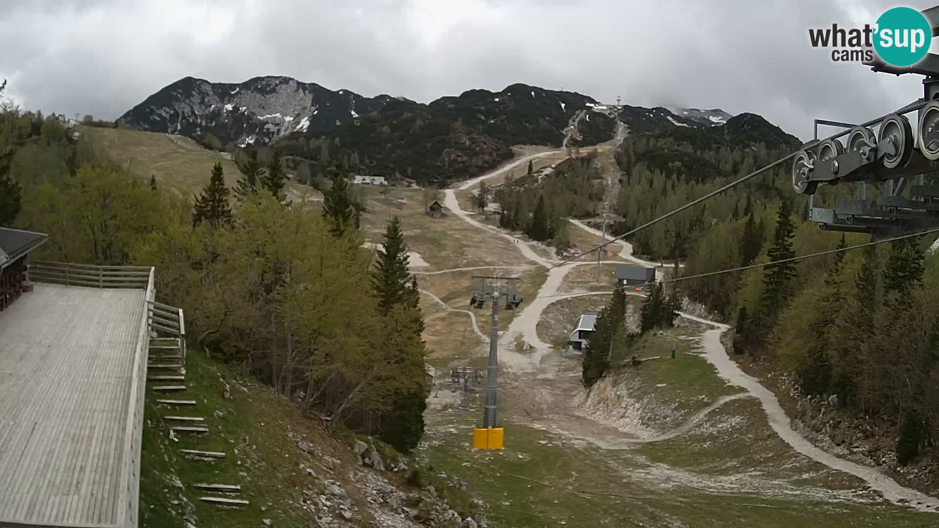 Vogel webcam kamera – Brunarica – Slowenien