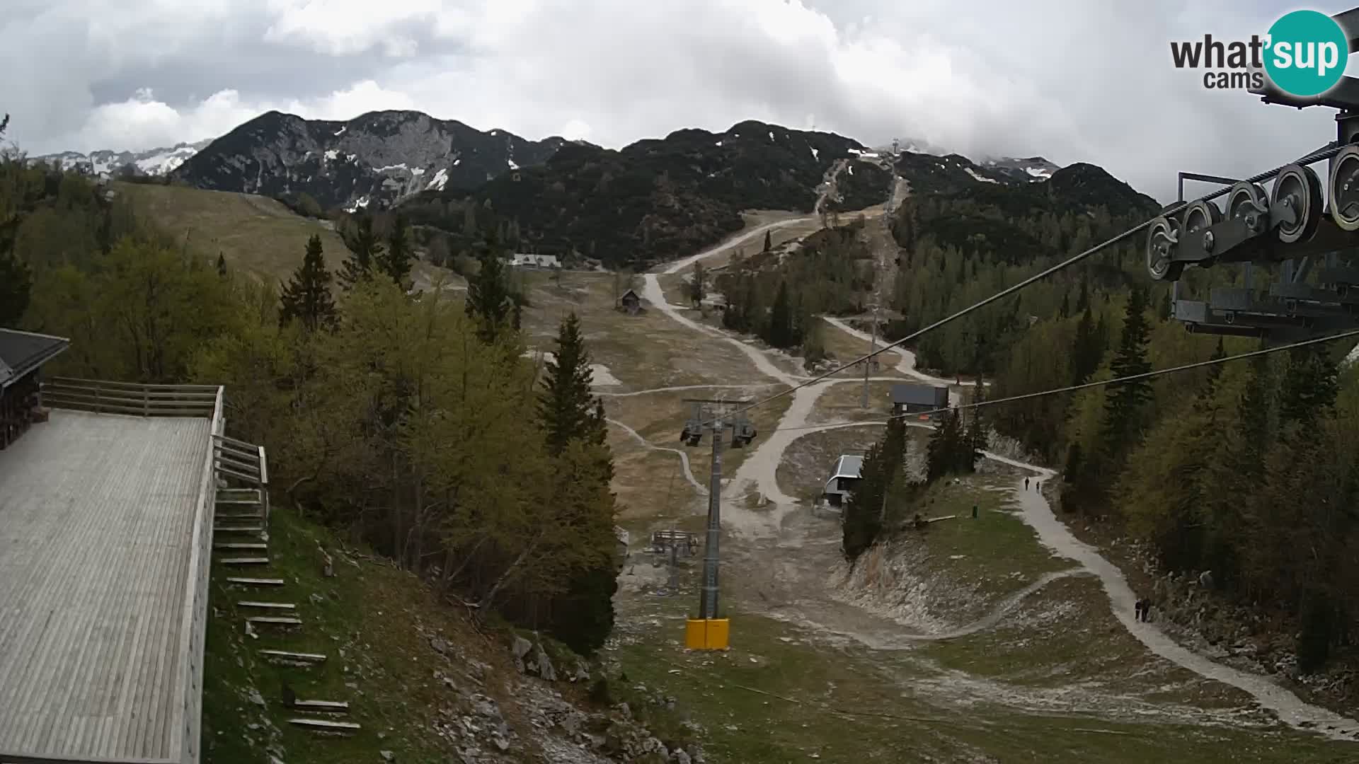 Vogel webcam kamera – Brunarica – Slowenien