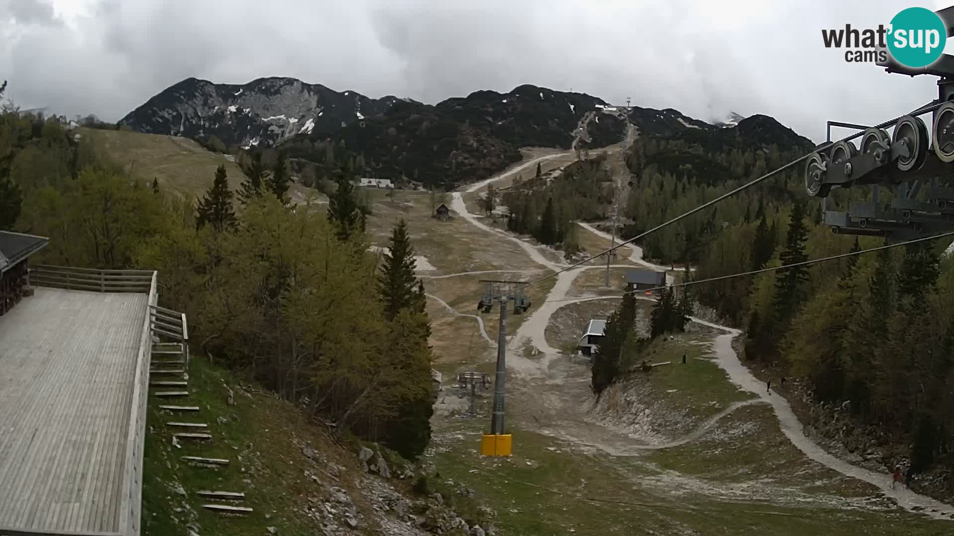 Vogel web kamera – Brunarica – Slovenija