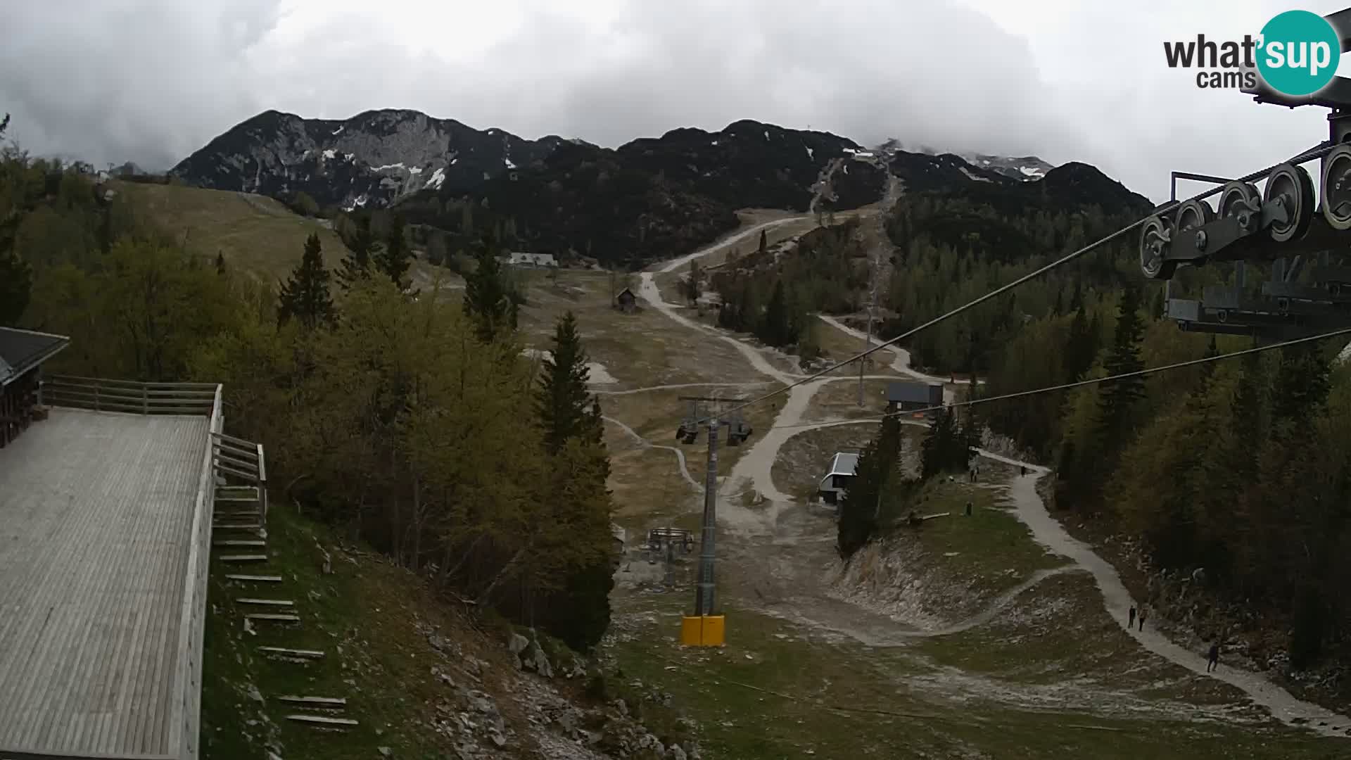 Vogel Live webcam – Brunarica – Slovénie
