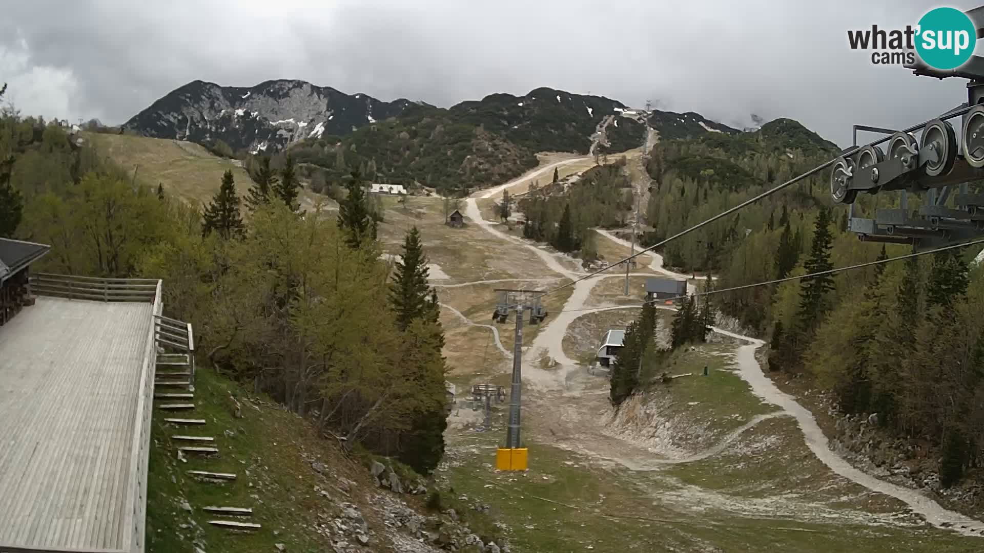 Vogel web kamera – Brunarica – Slovenija