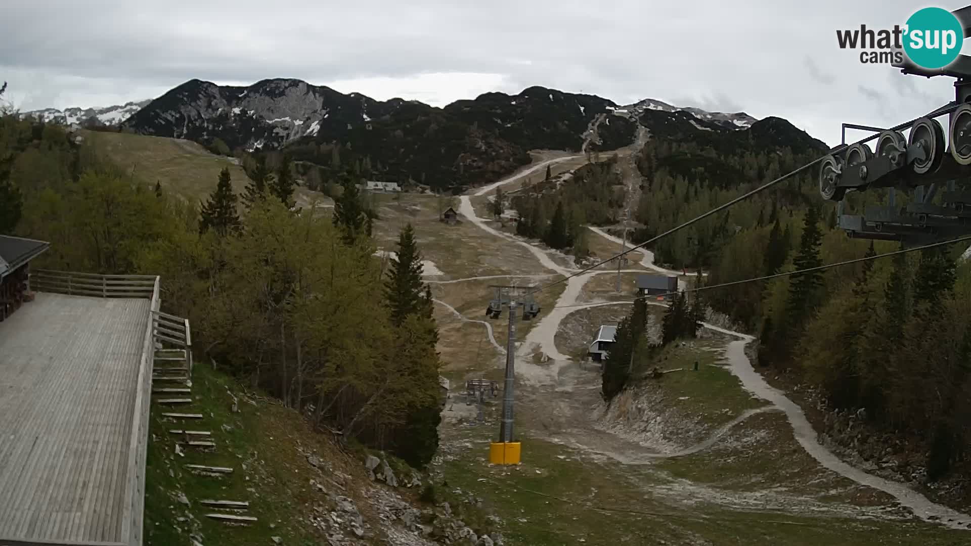 Vogel web kamera – Brunarica – Slovenija