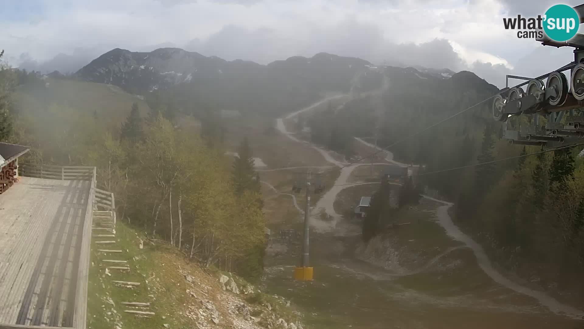 Vogel web kamera – Brunarica – Slovenija