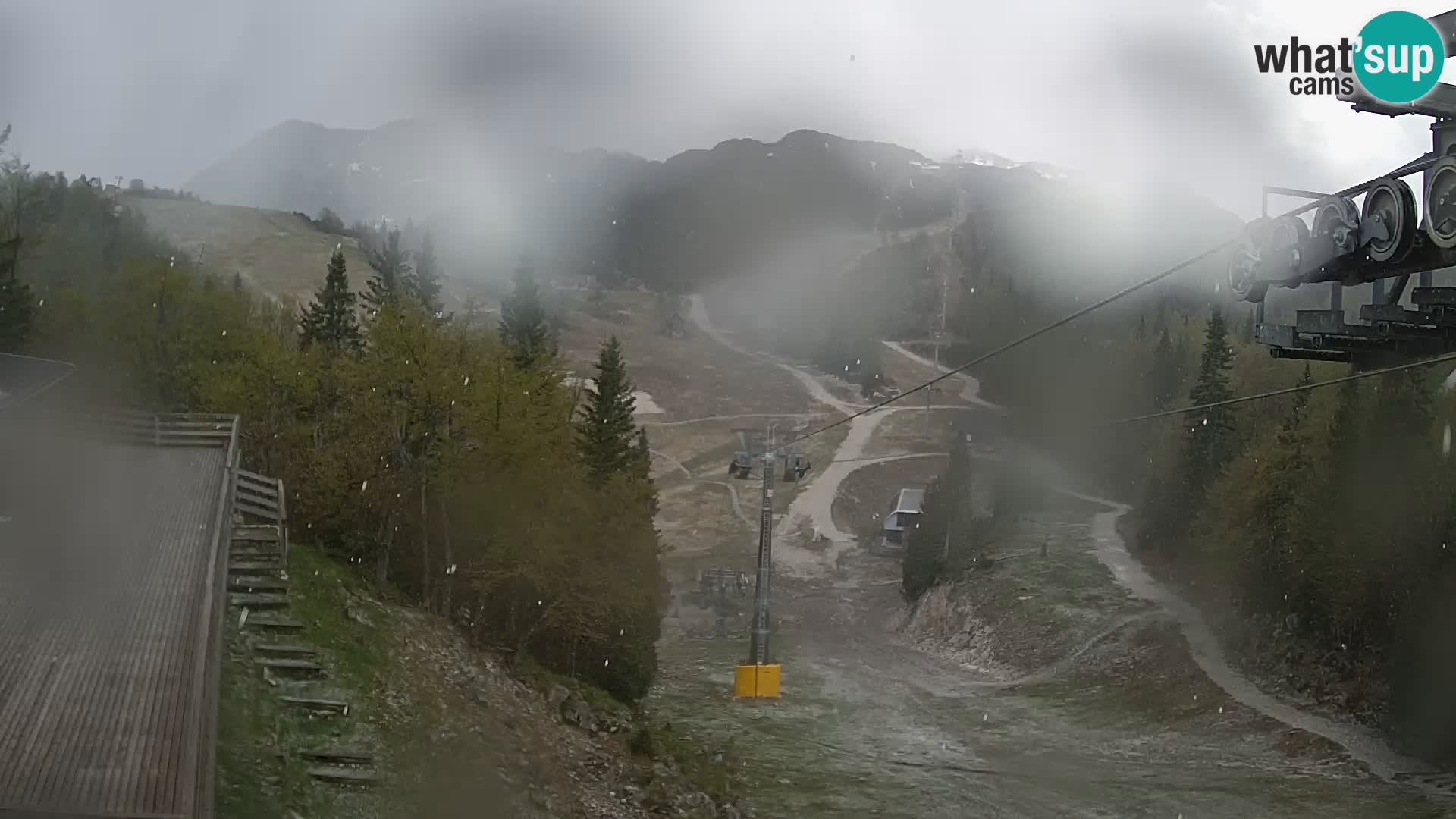 Vogel webcam kamera – Brunarica – Slowenien