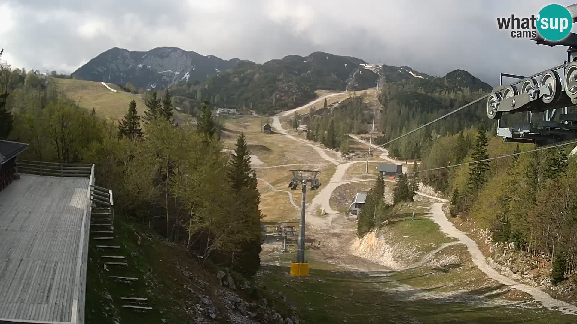 Vogel webcam kamera – Brunarica – Slowenien