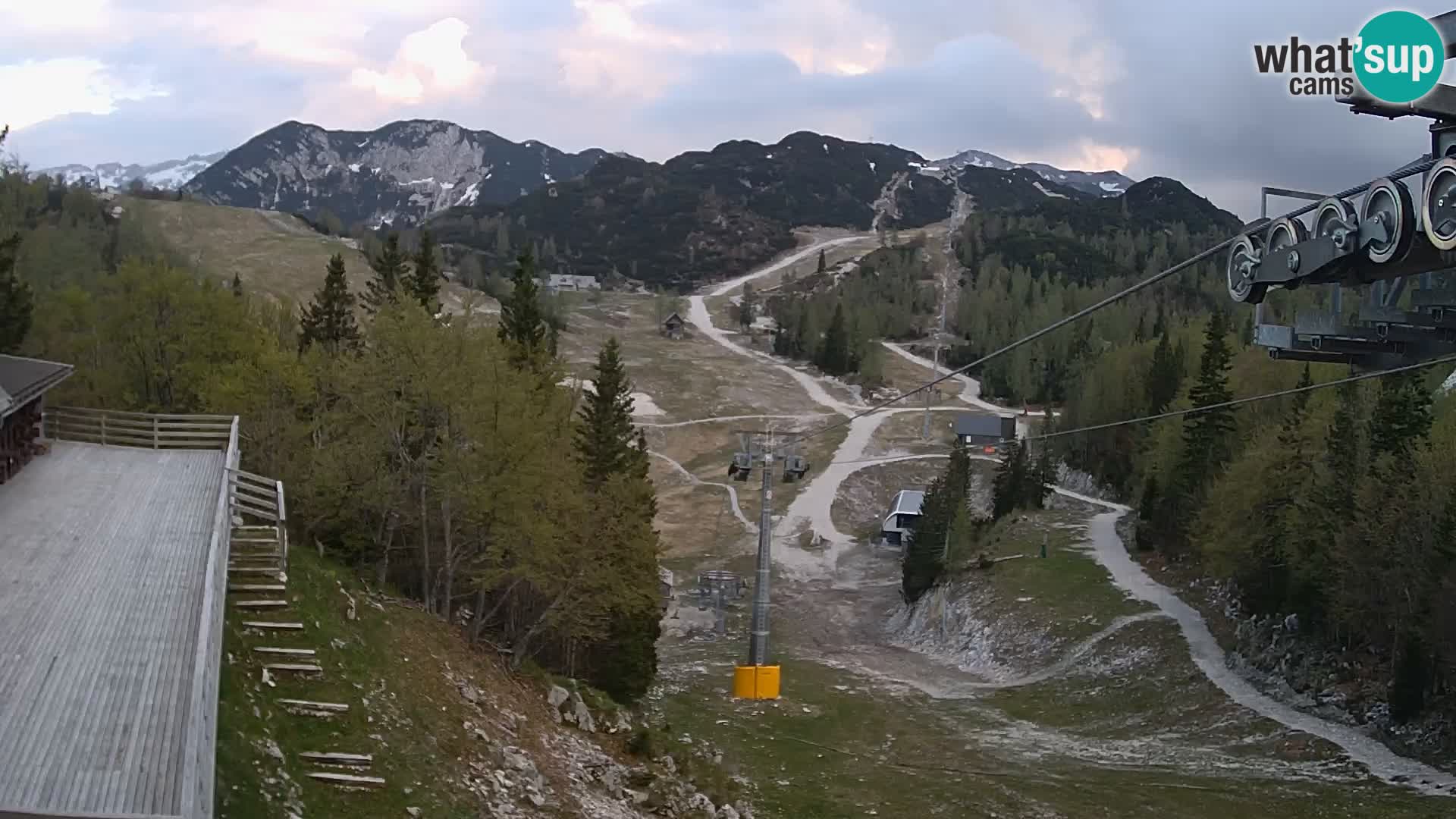 Vogel web kamera – Brunarica – Slovenija