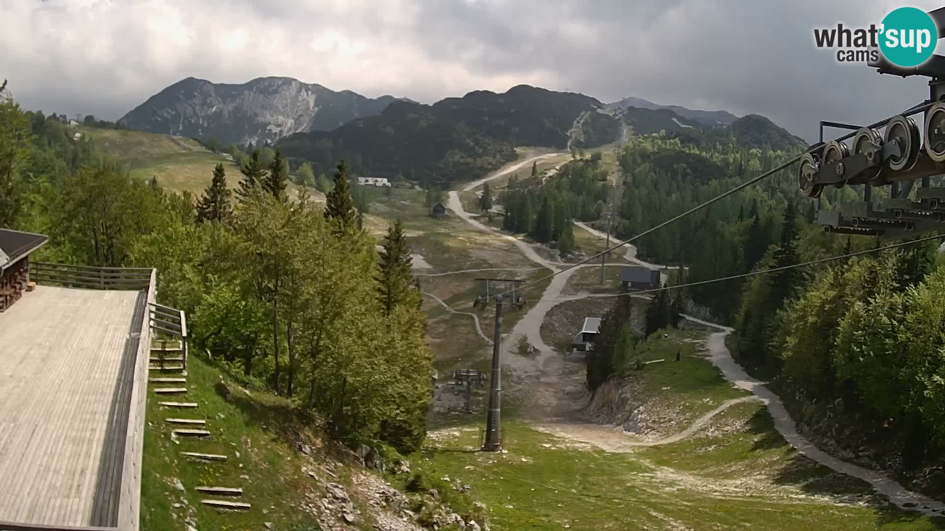 Vogel web kamera – Brunarica – Slovenija