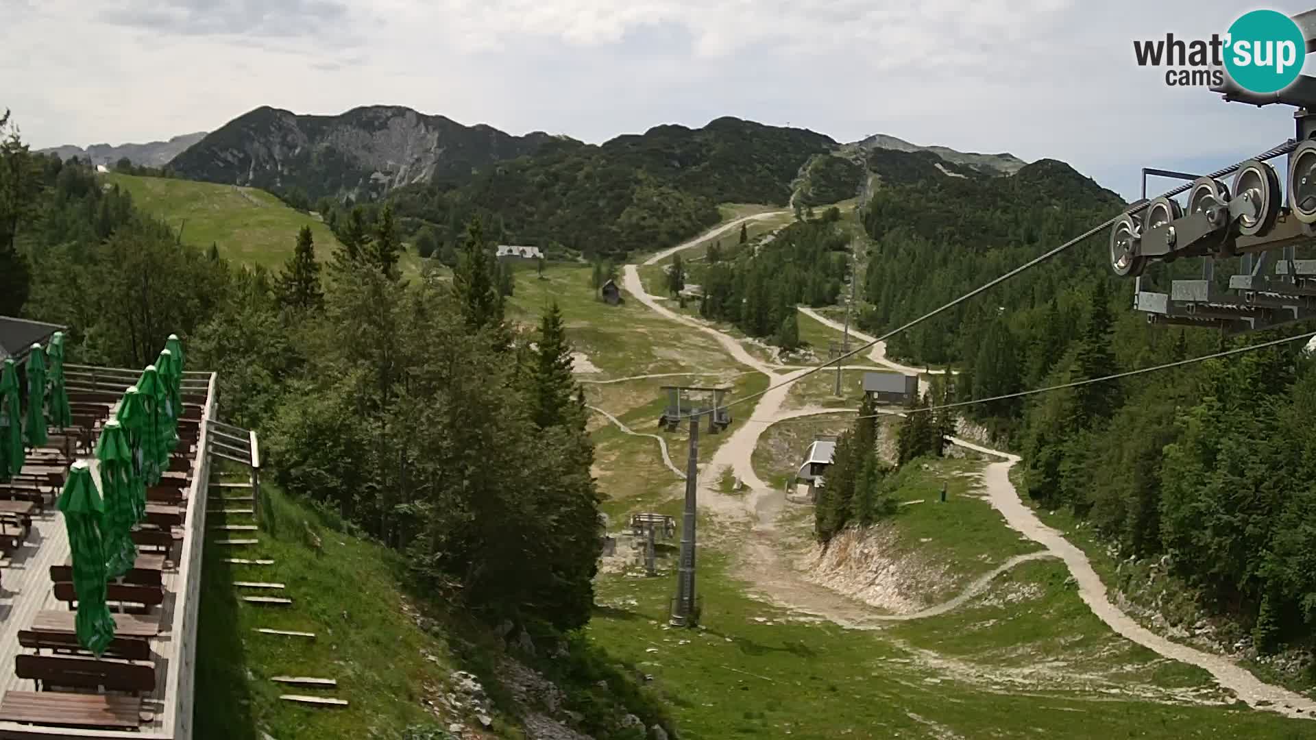 Vogel webcam kamera – Brunarica – Slowenien