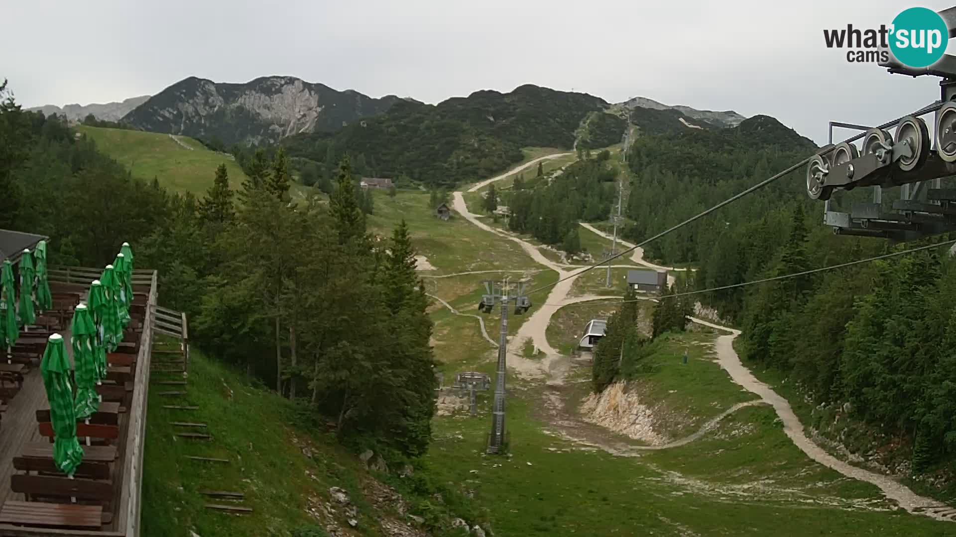 Vogel web kamera – Brunarica – Slovenija