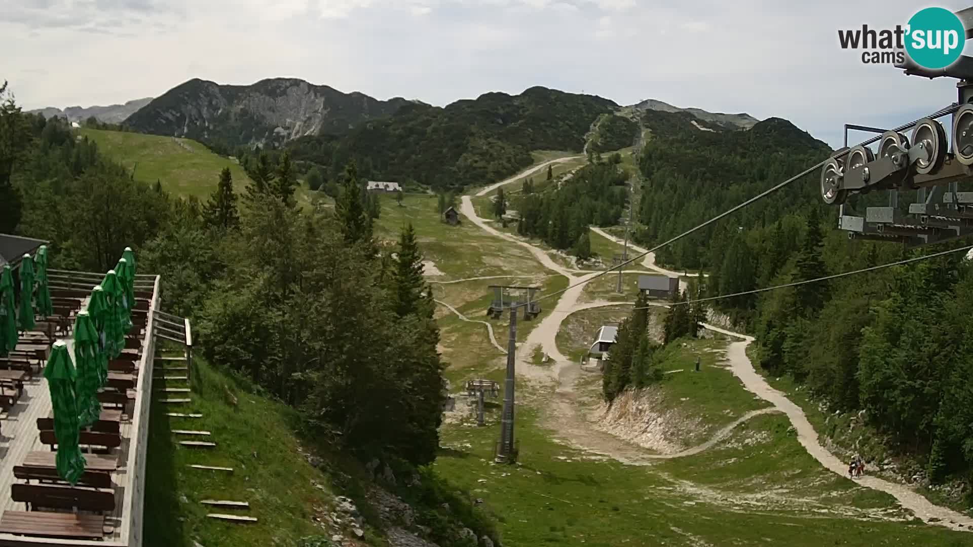 Vogel web kamera – Brunarica – Slovenija