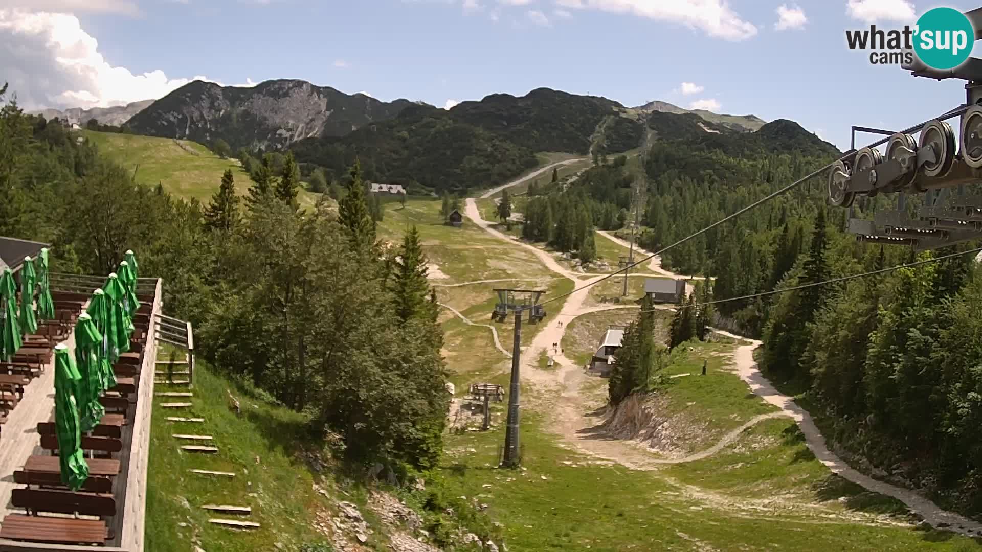 Vogel web kamera – Brunarica – Slovenija