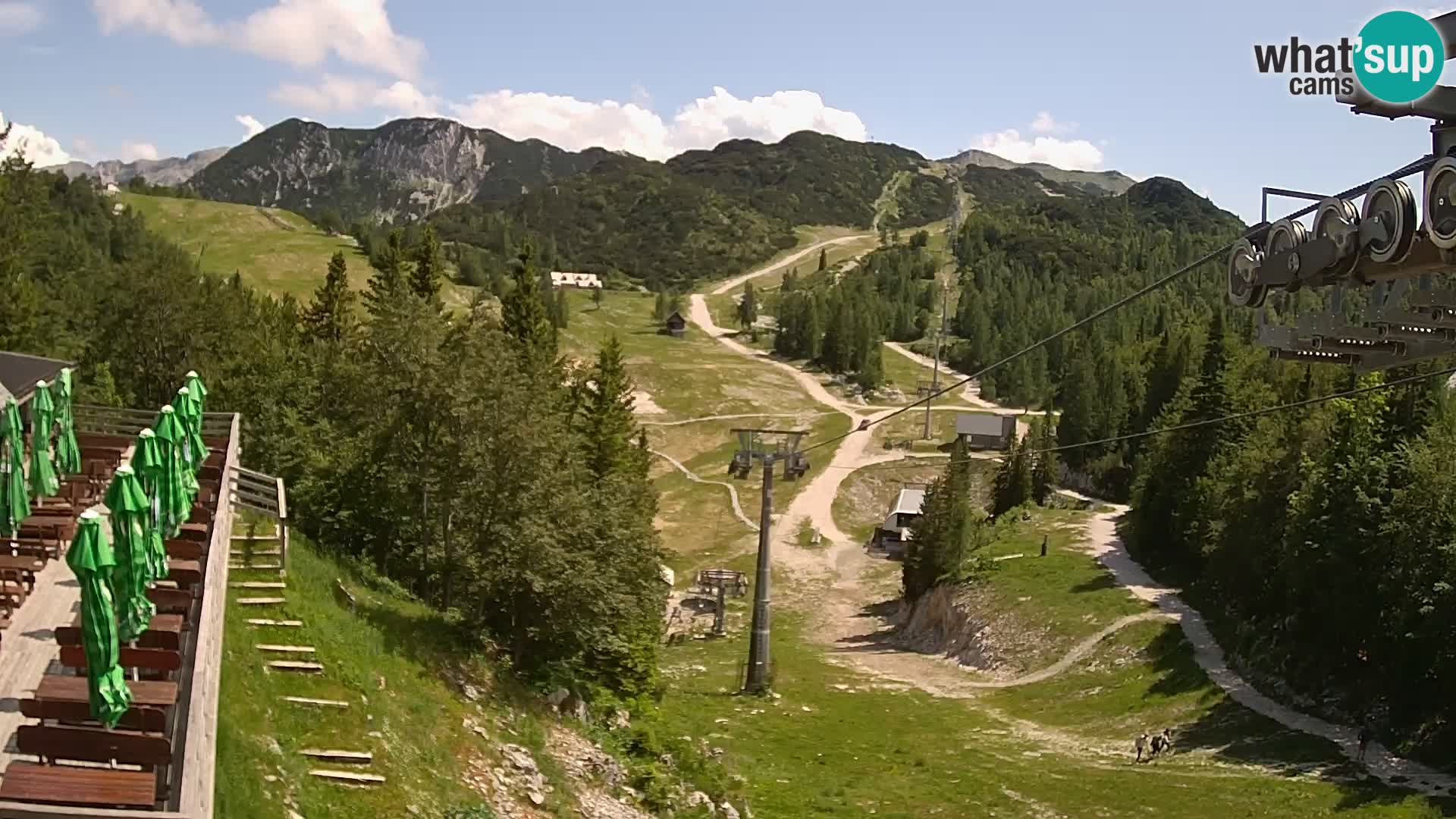 Vogel web kamera – Brunarica – Slovenija