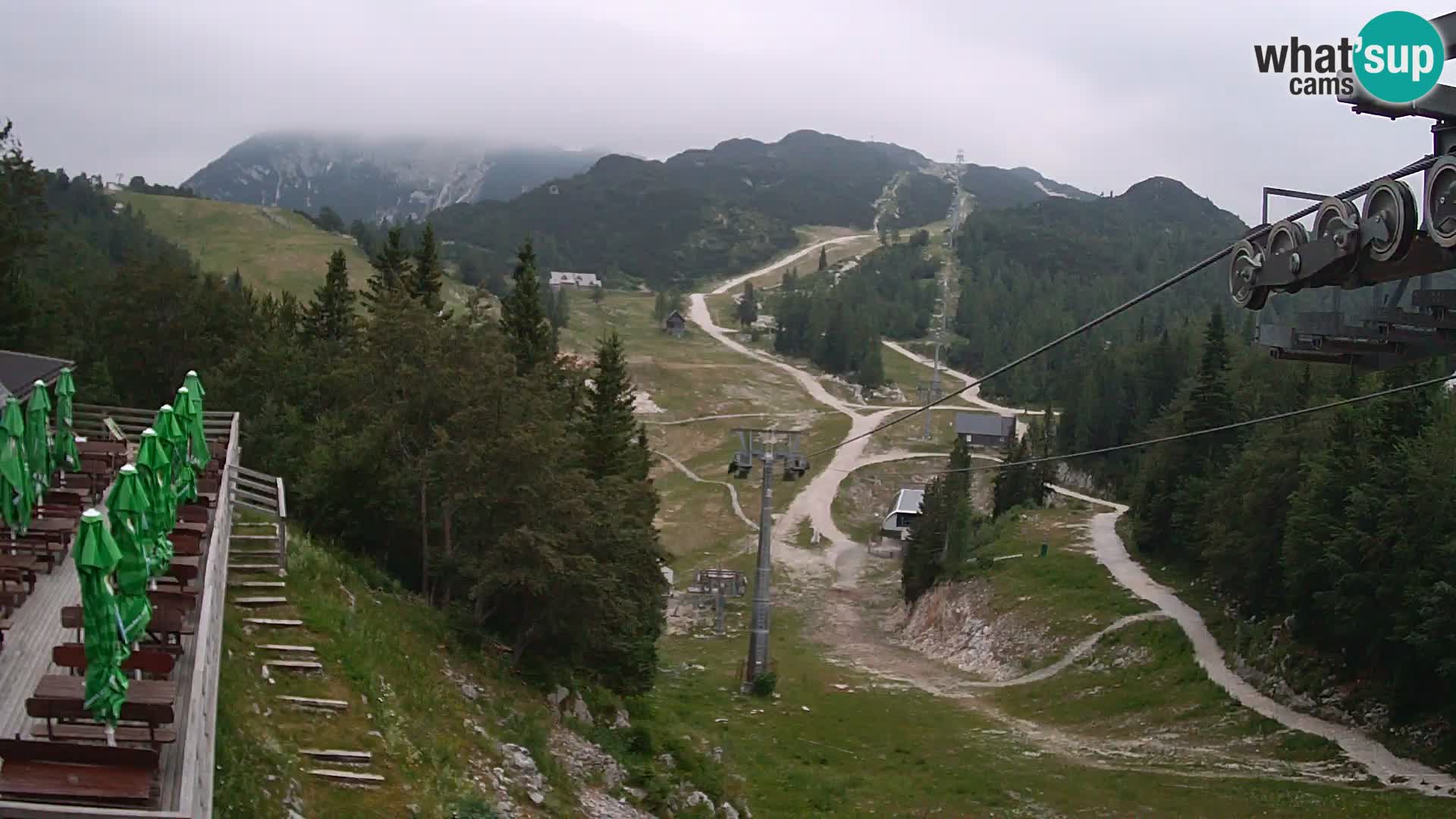 Vogel web kamera – Brunarica – Slovenija