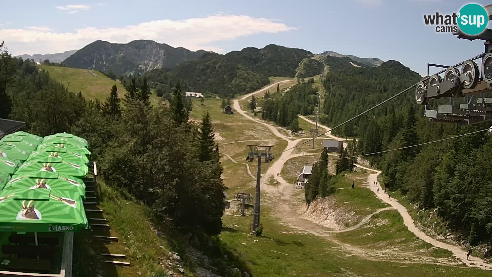 Vogel webcam kamera – Brunarica – Slowenien