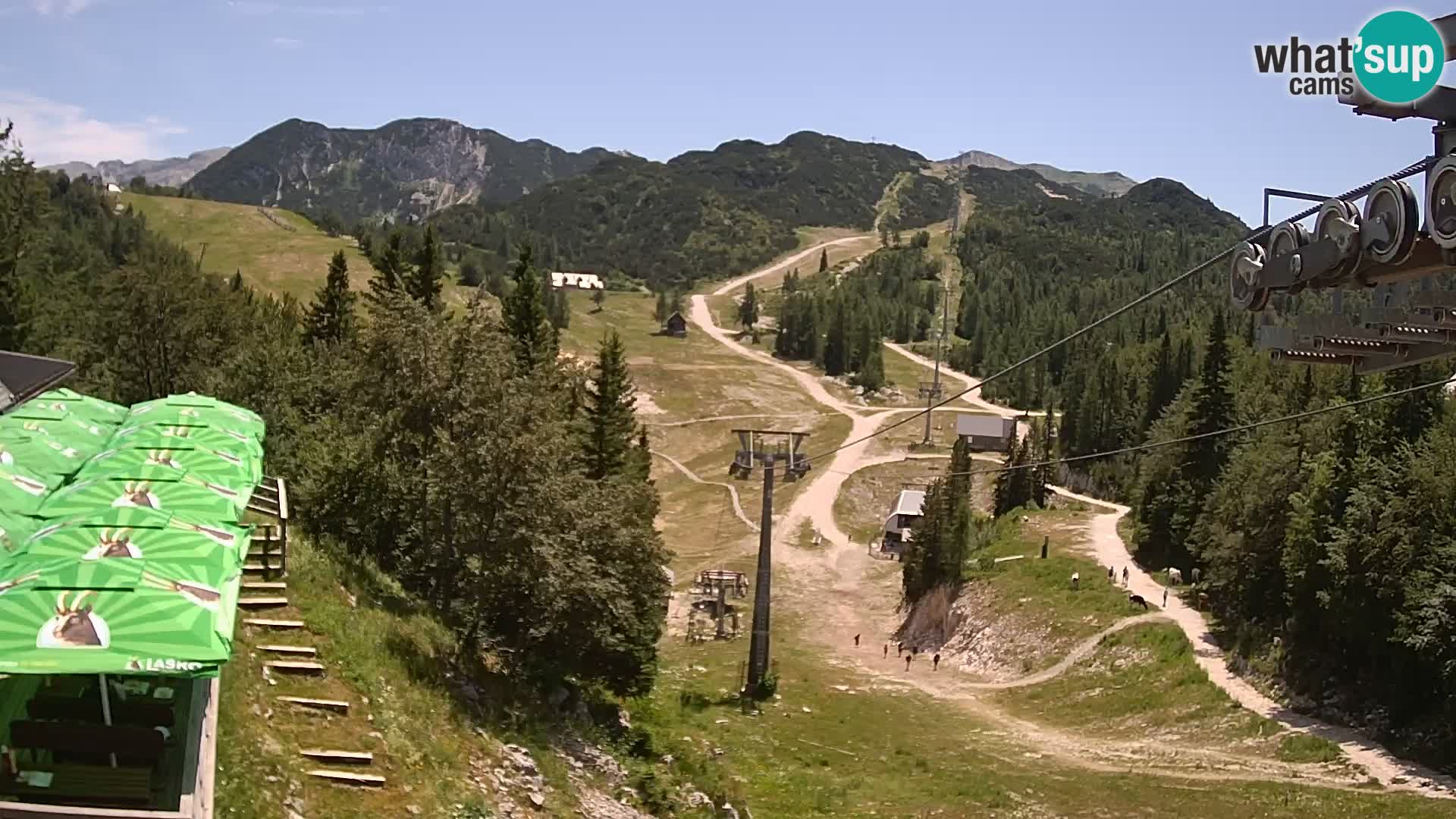 Vogel web kamera – Brunarica – Slovenija