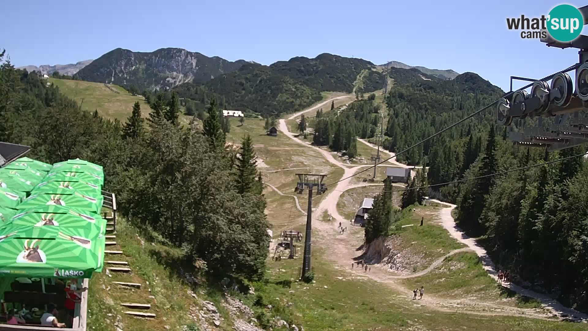 Vogel webcam kamera – Brunarica – Slowenien