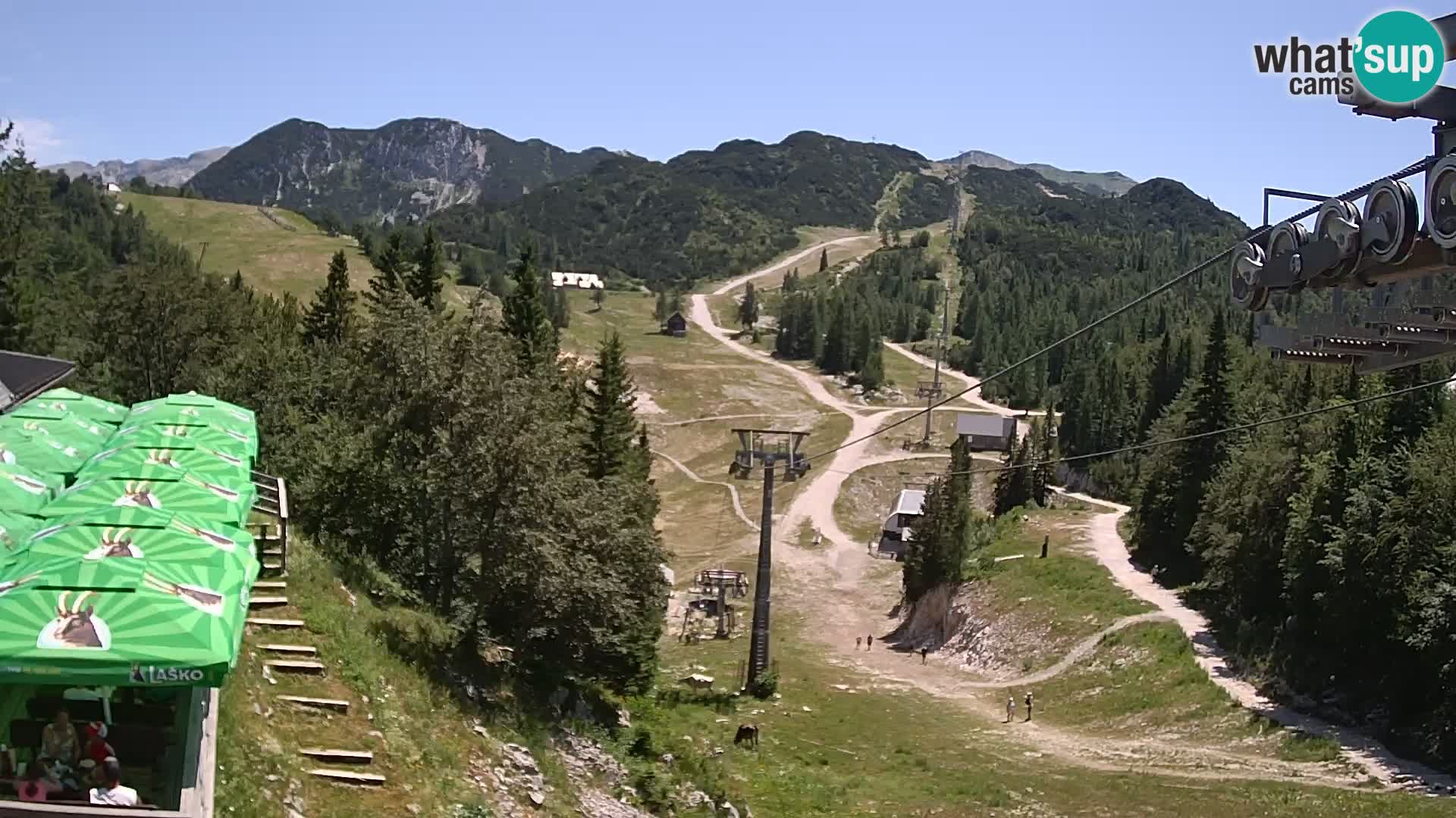 Vogel webcam kamera – Brunarica – Slowenien