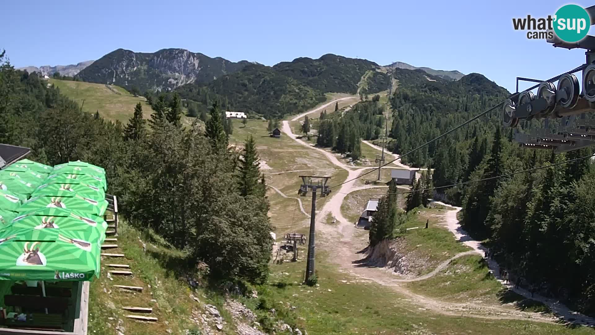 Vogel webcam kamera – Brunarica – Slowenien