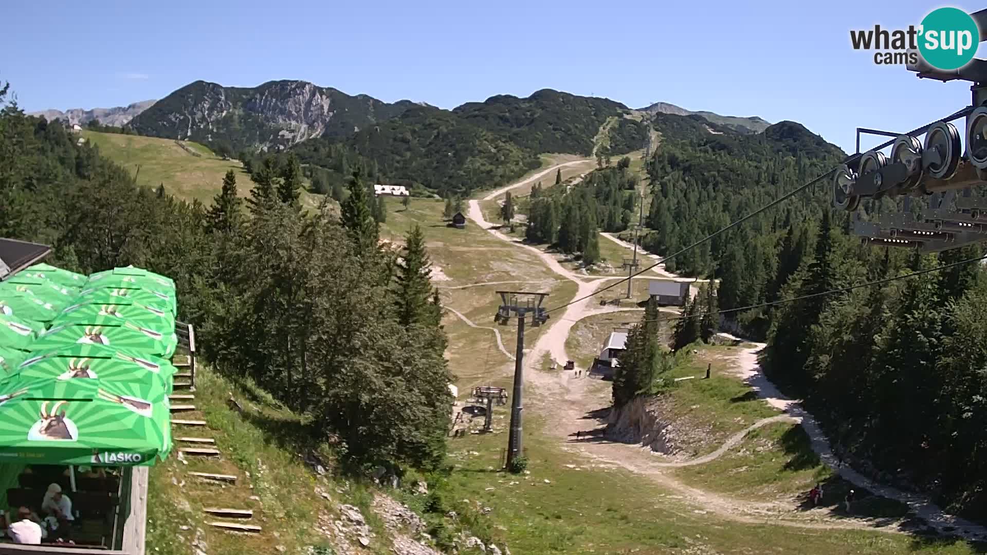 Vogel Live webcam – Brunarica – Slovénie
